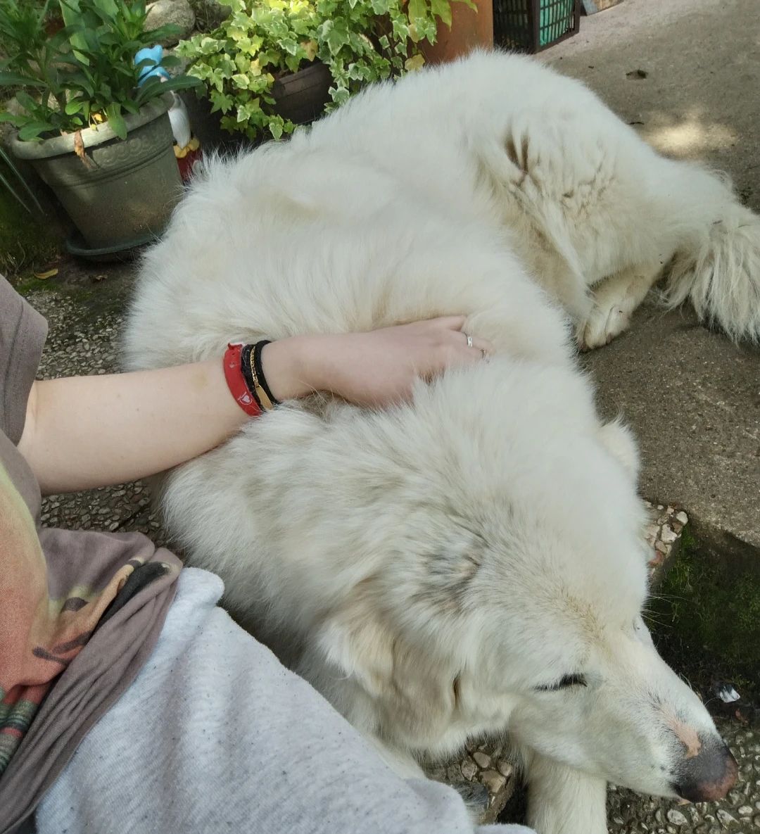 image-11