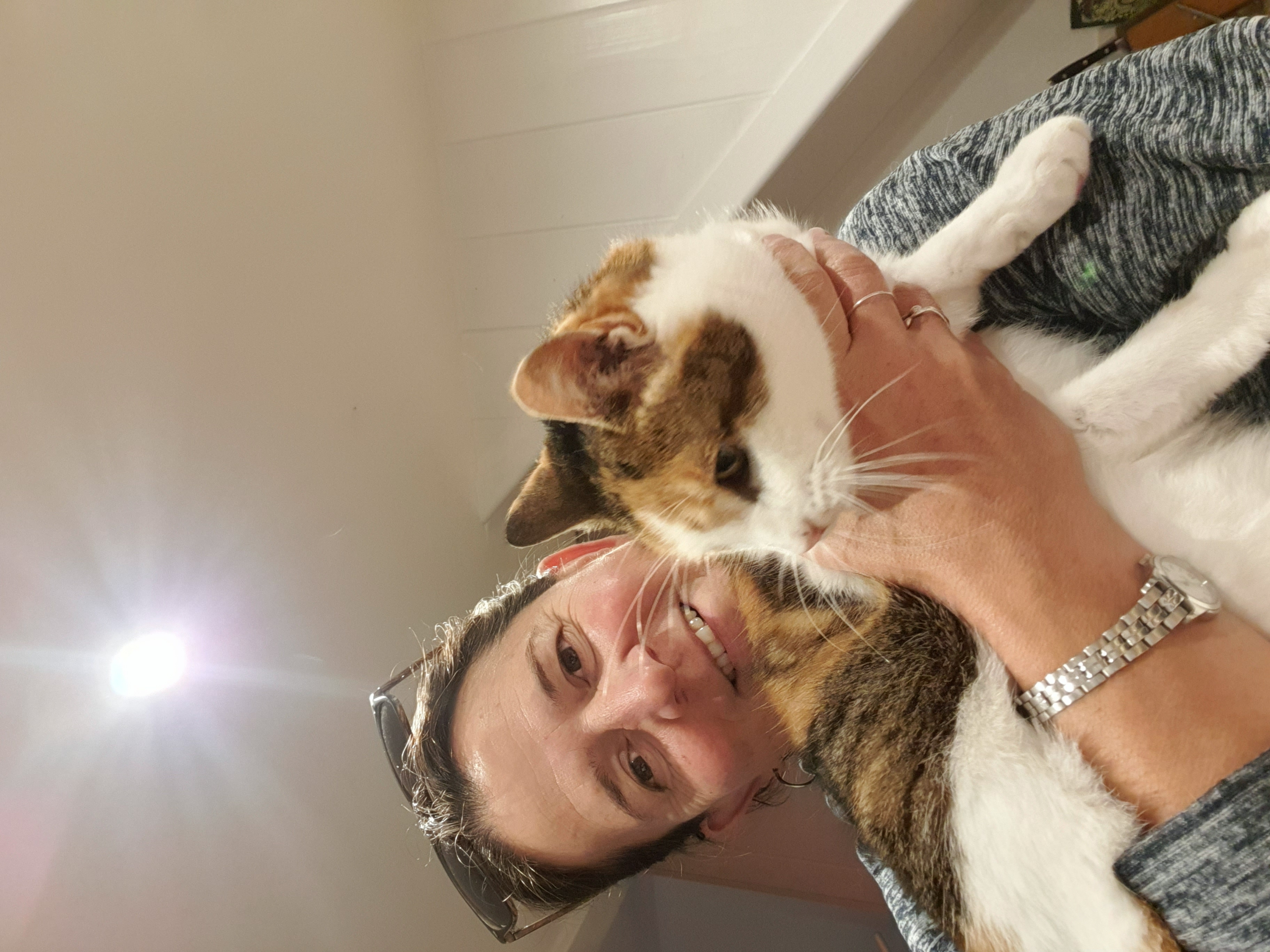 image-6