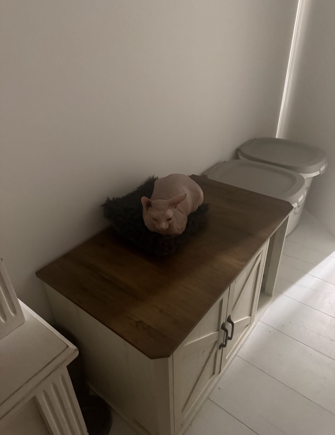 image-11