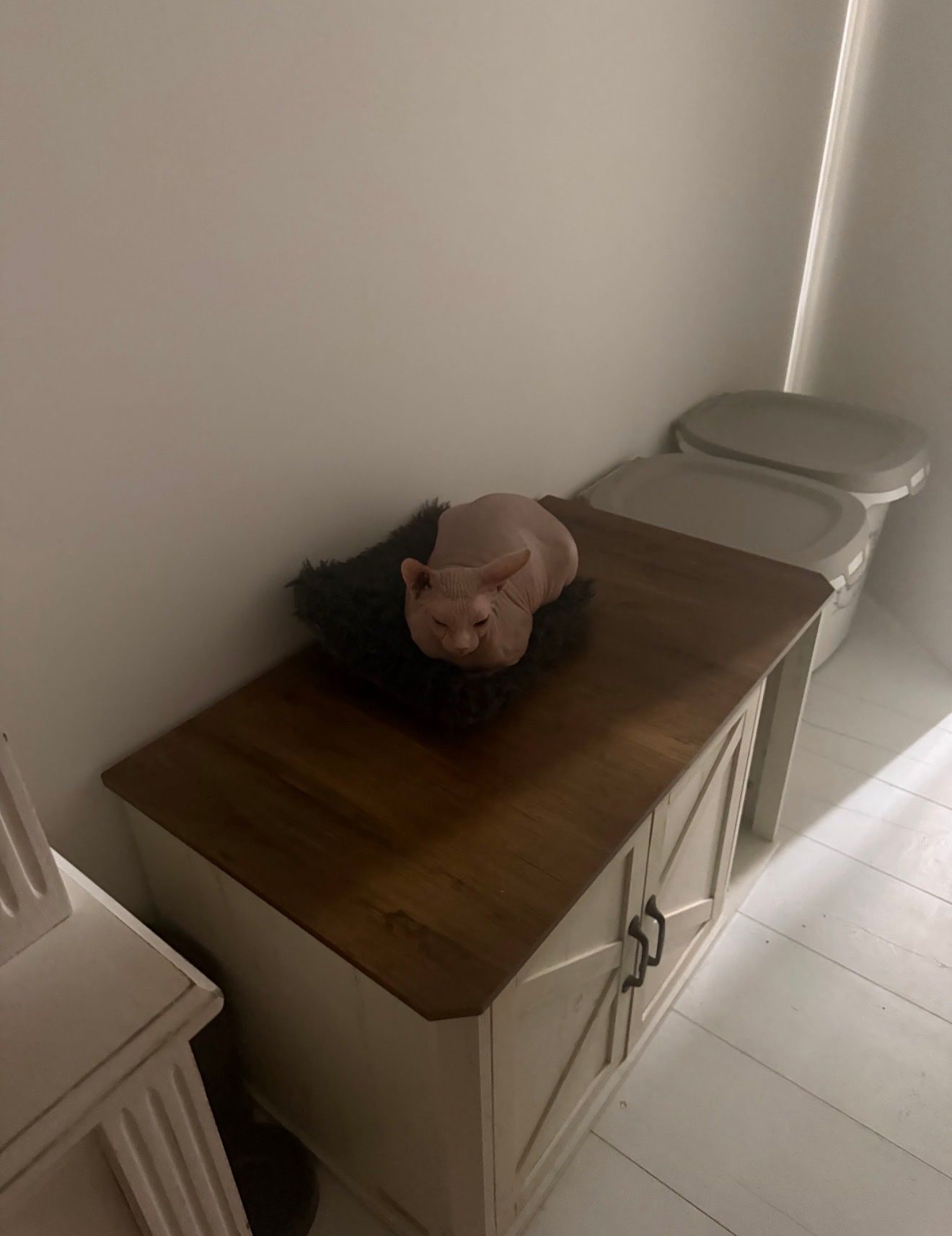 image-11