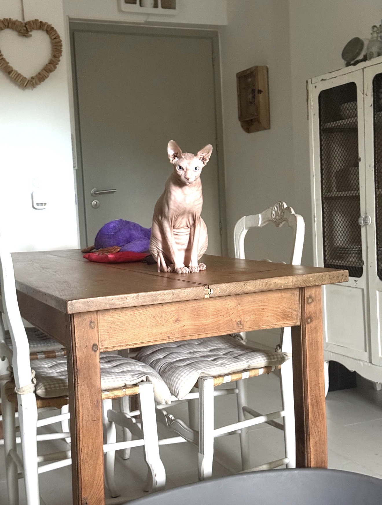 image-10