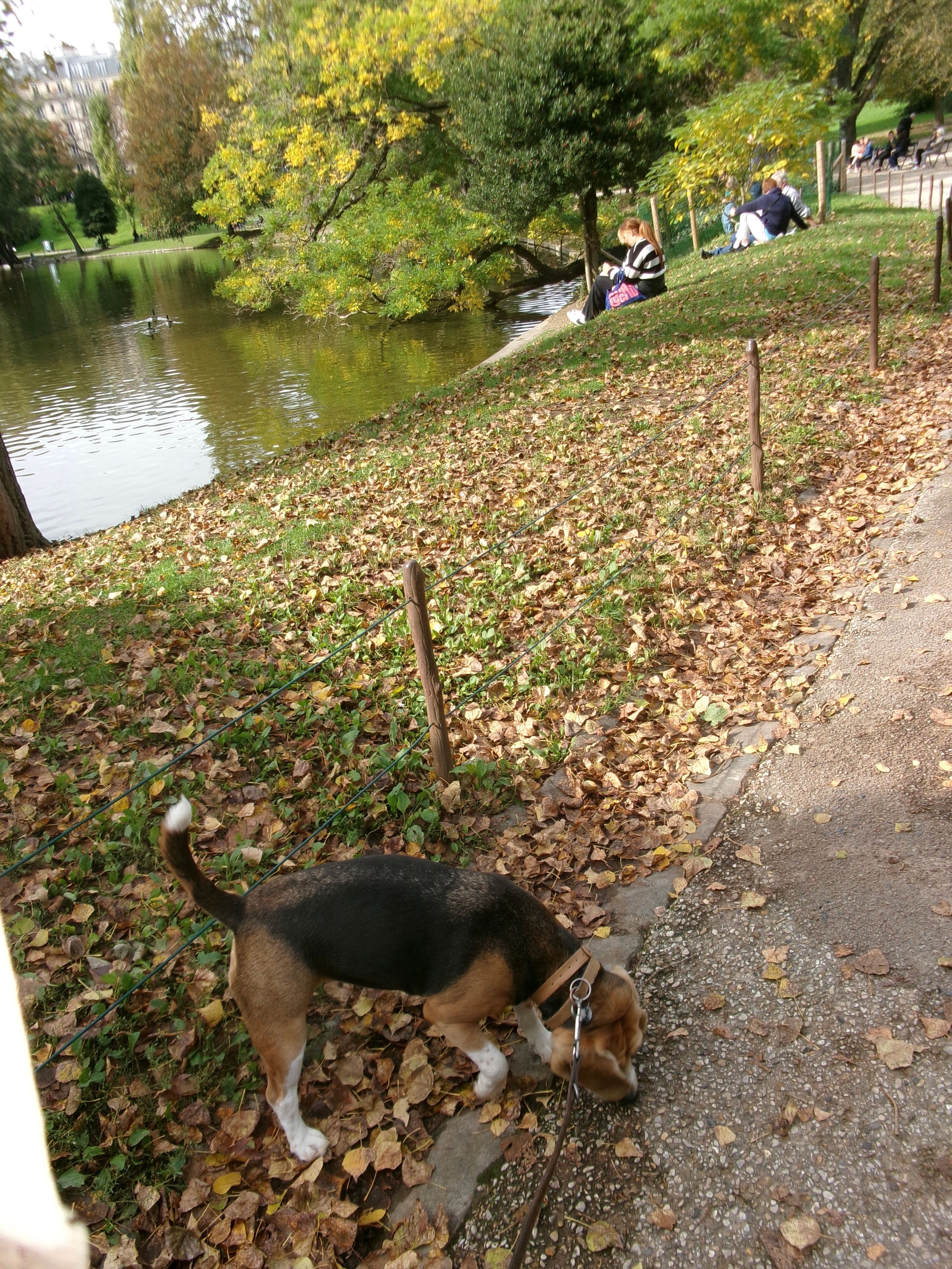 image-23
