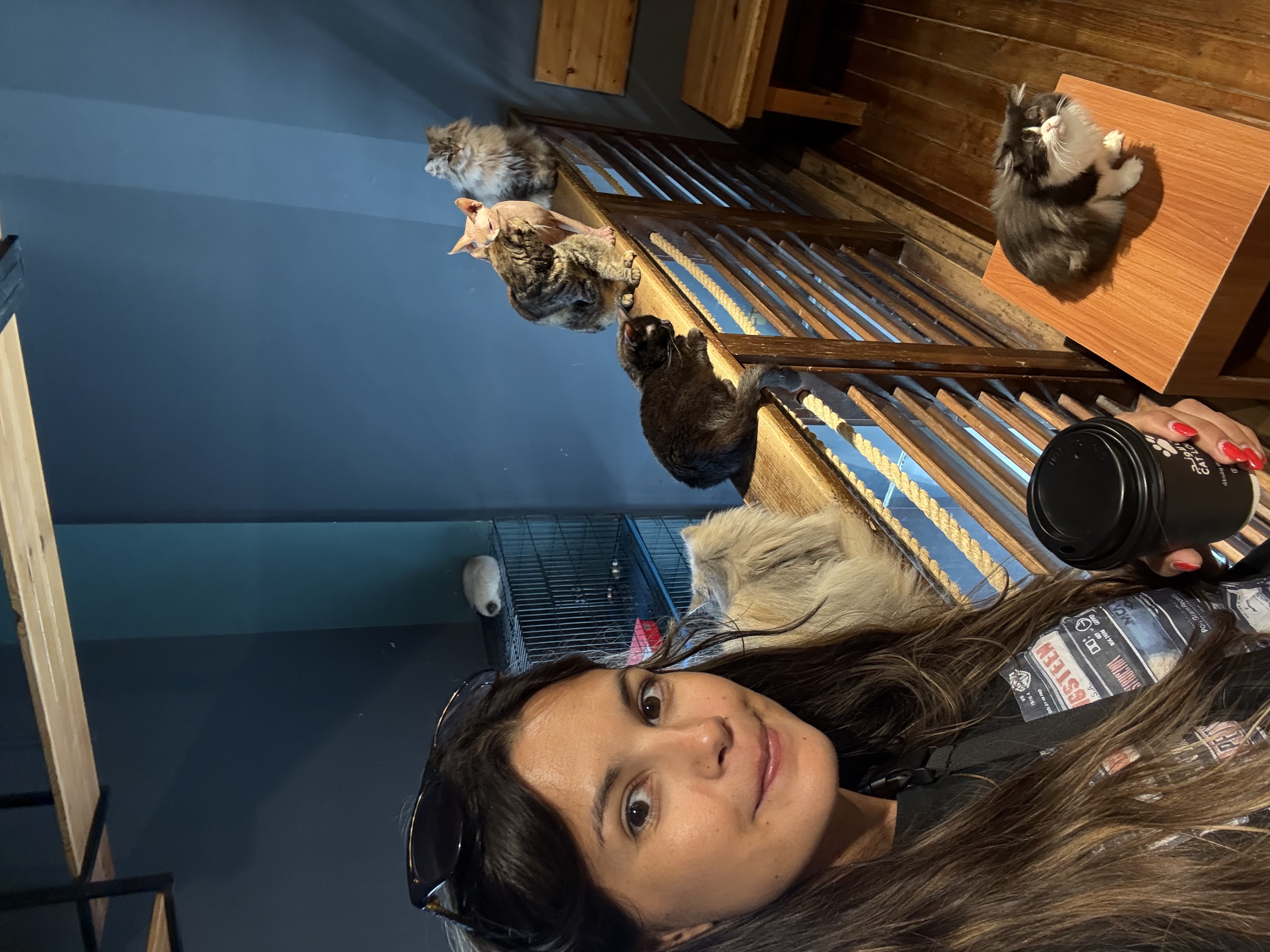 image-8