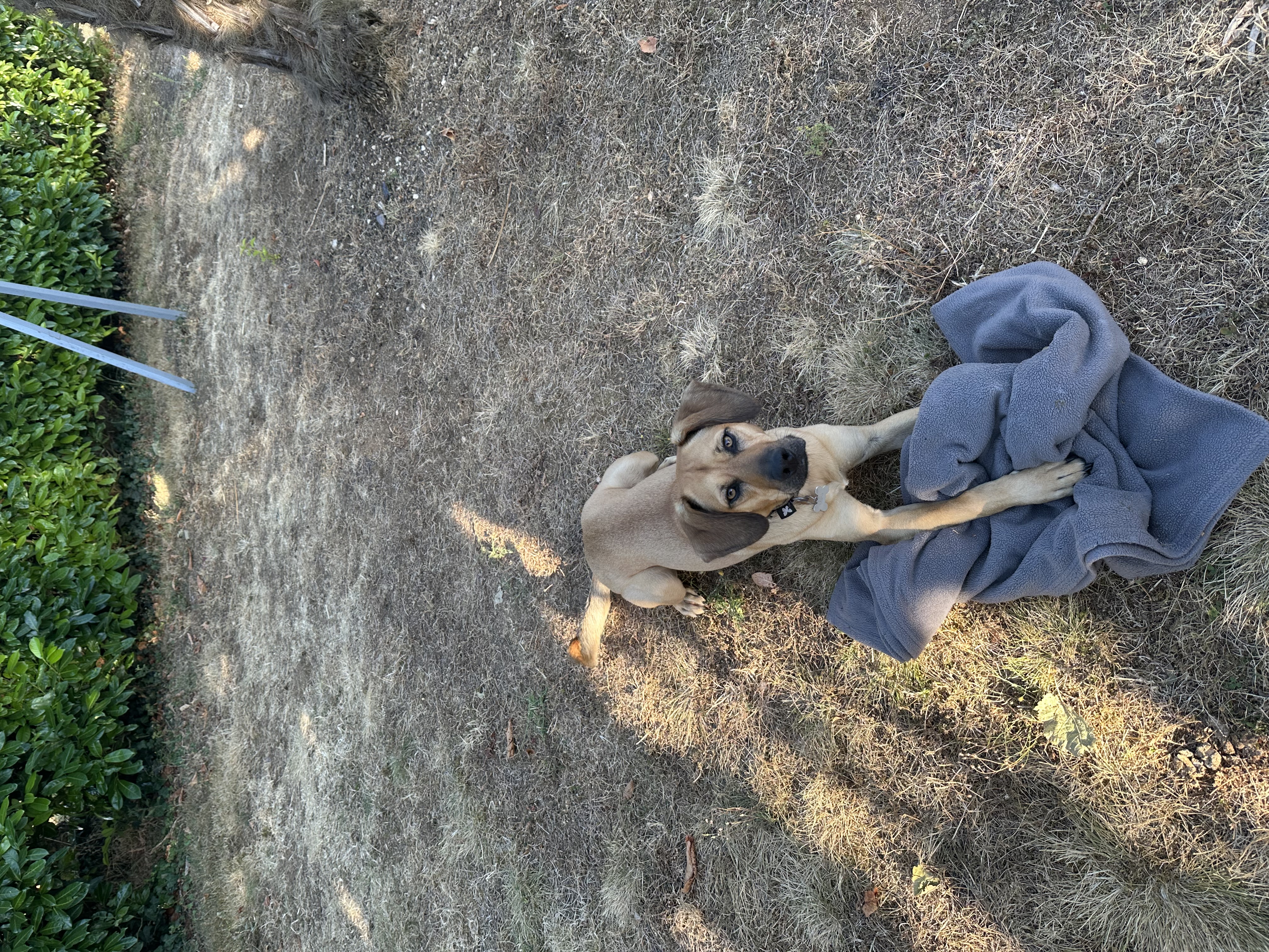 image-8