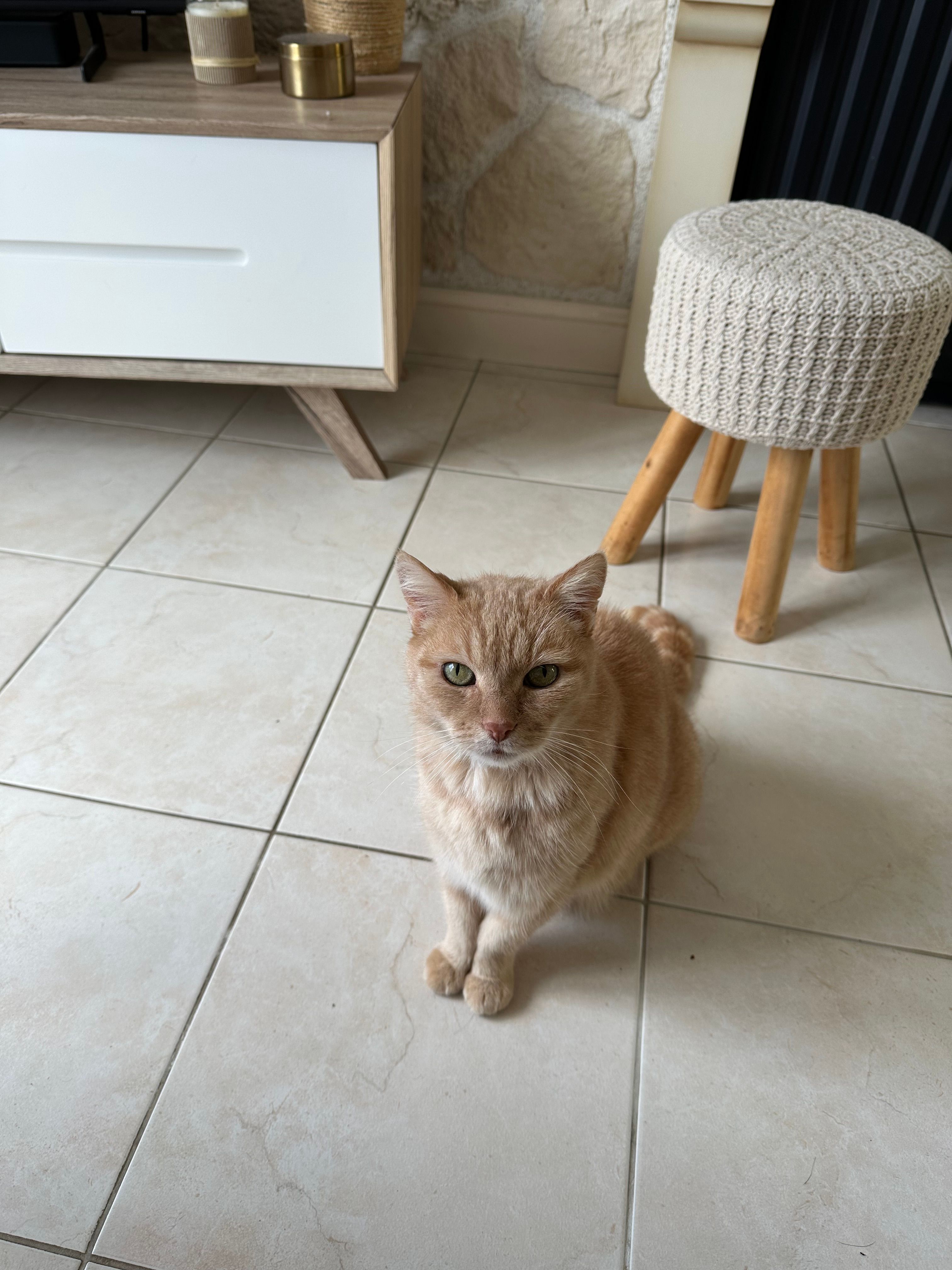 image-10