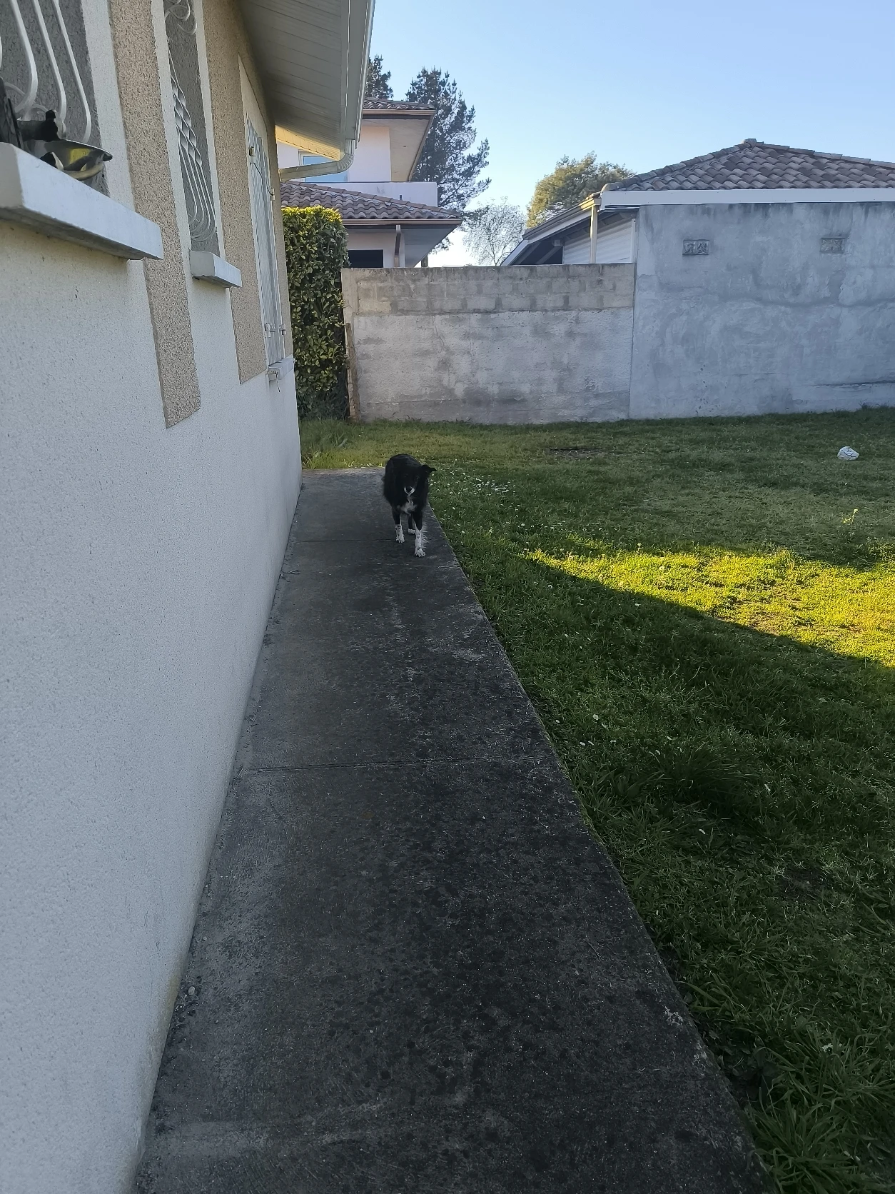 image-27