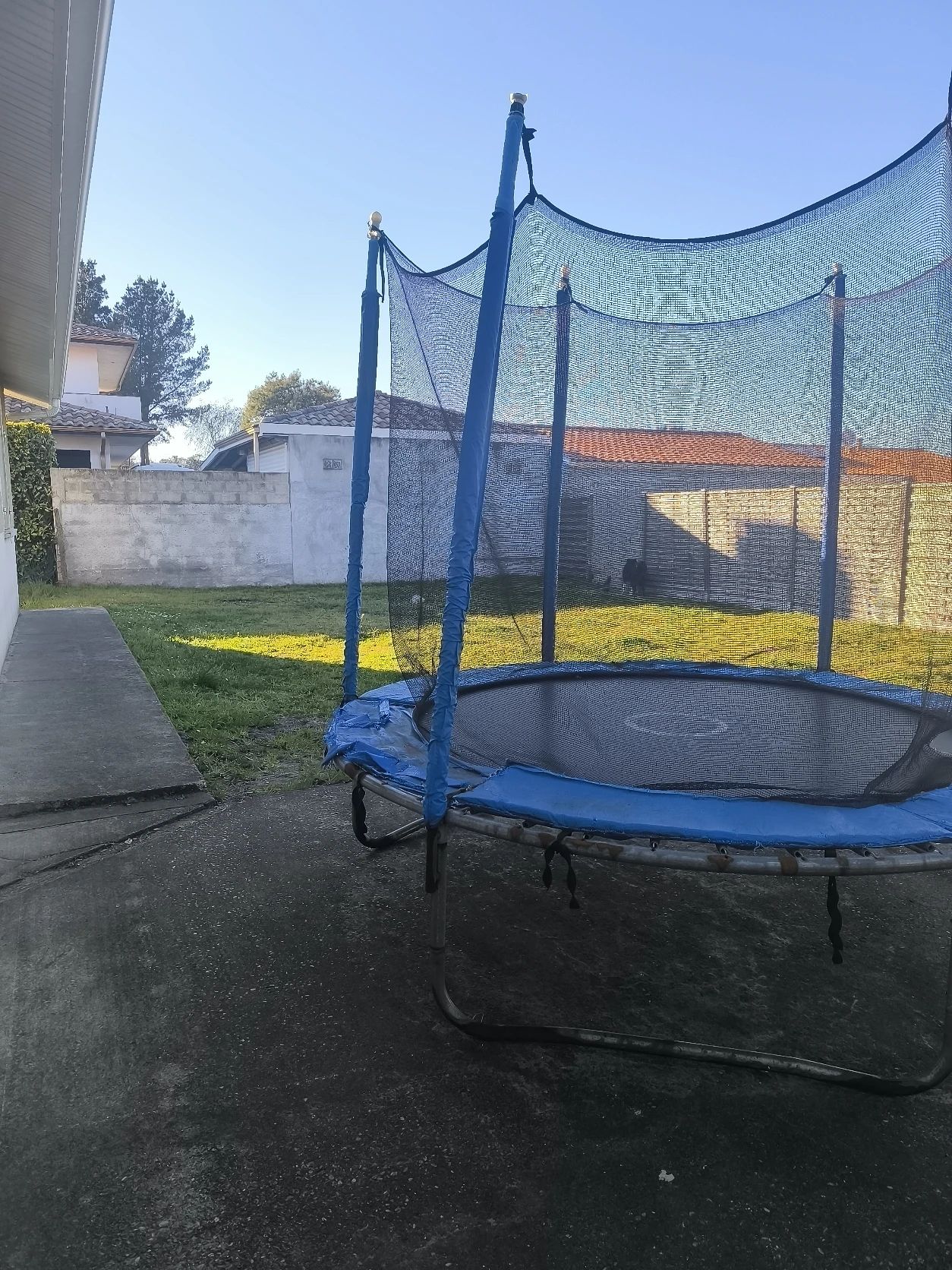 image-25