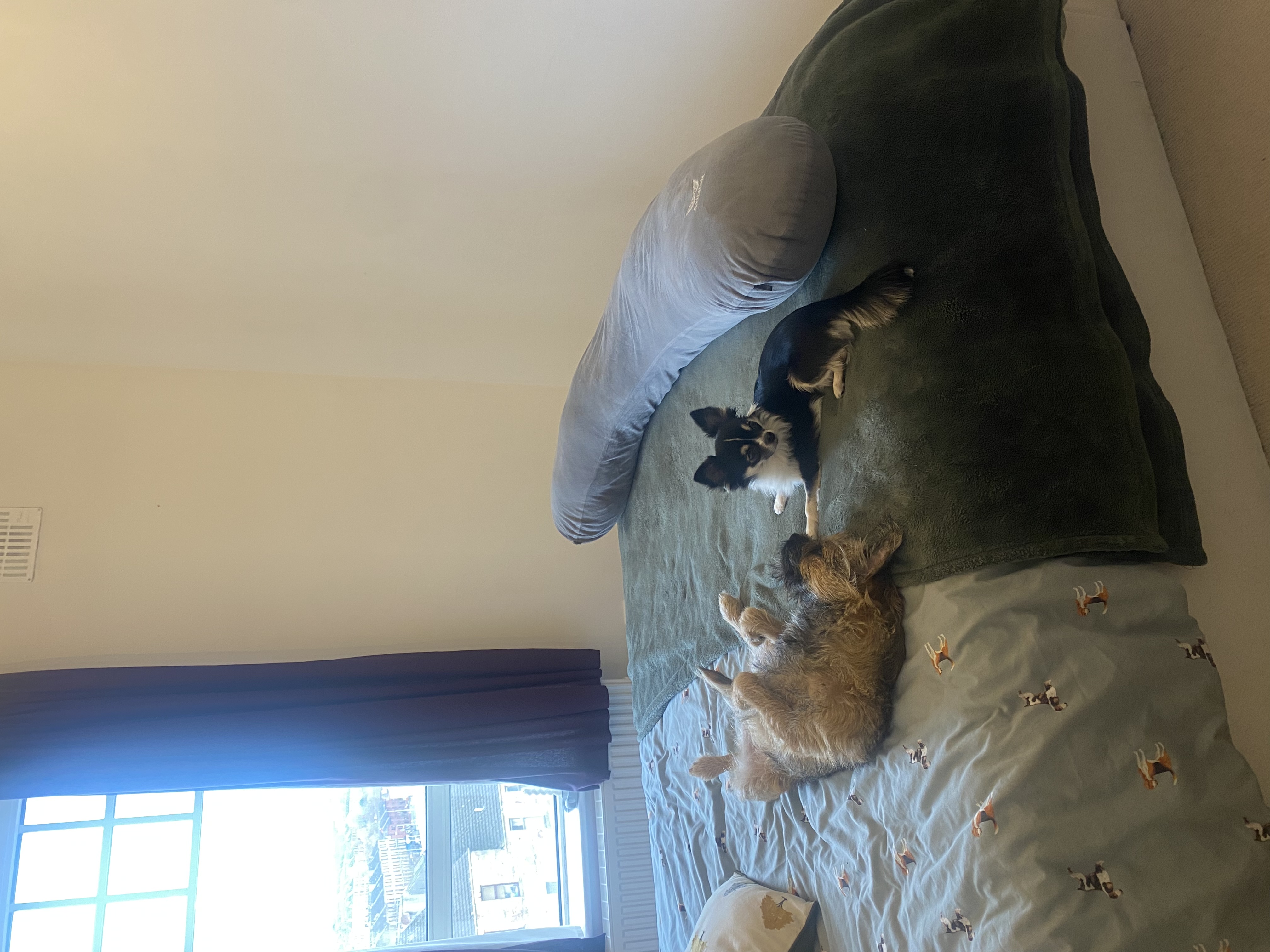 image-12