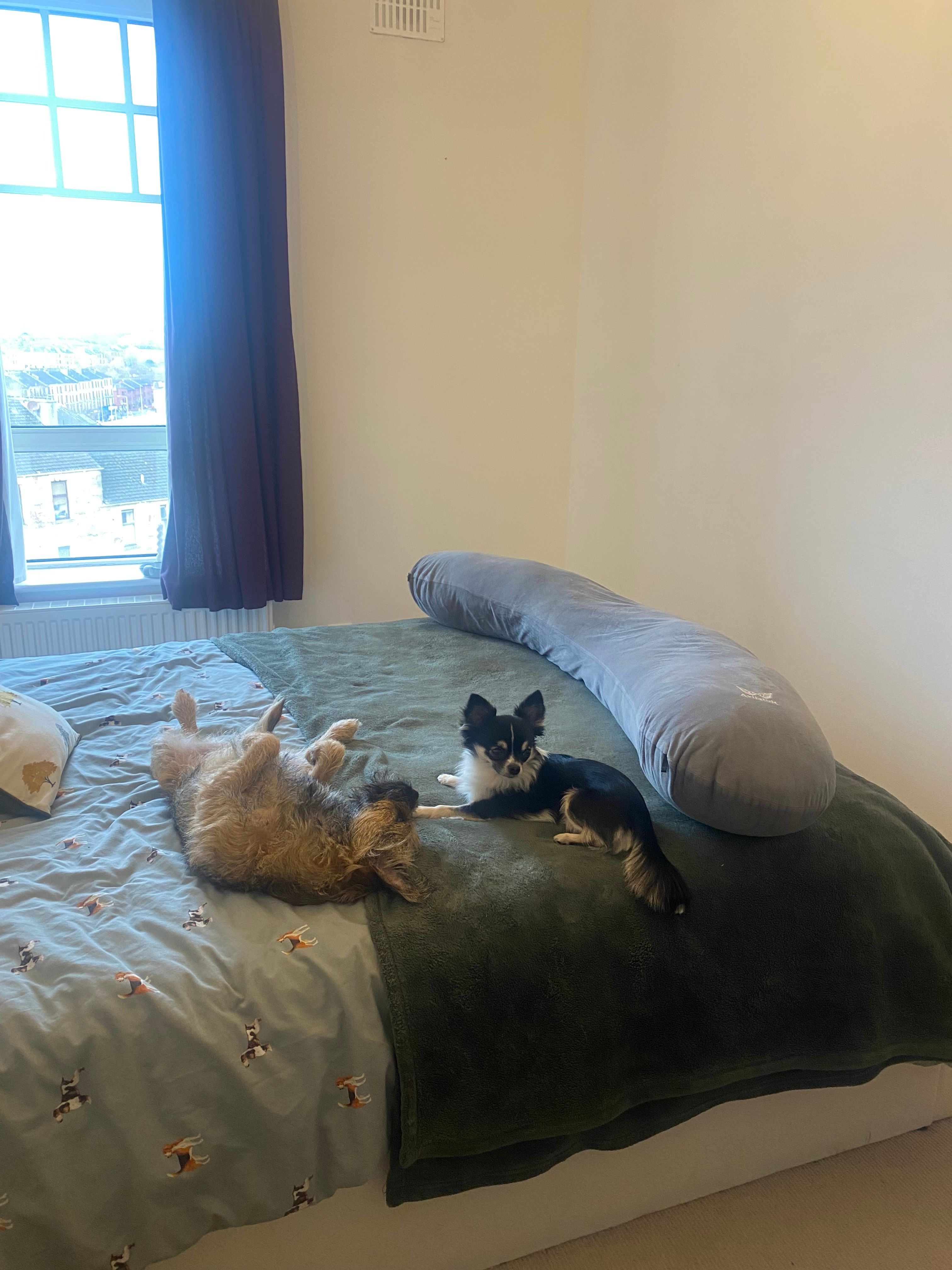 image-12