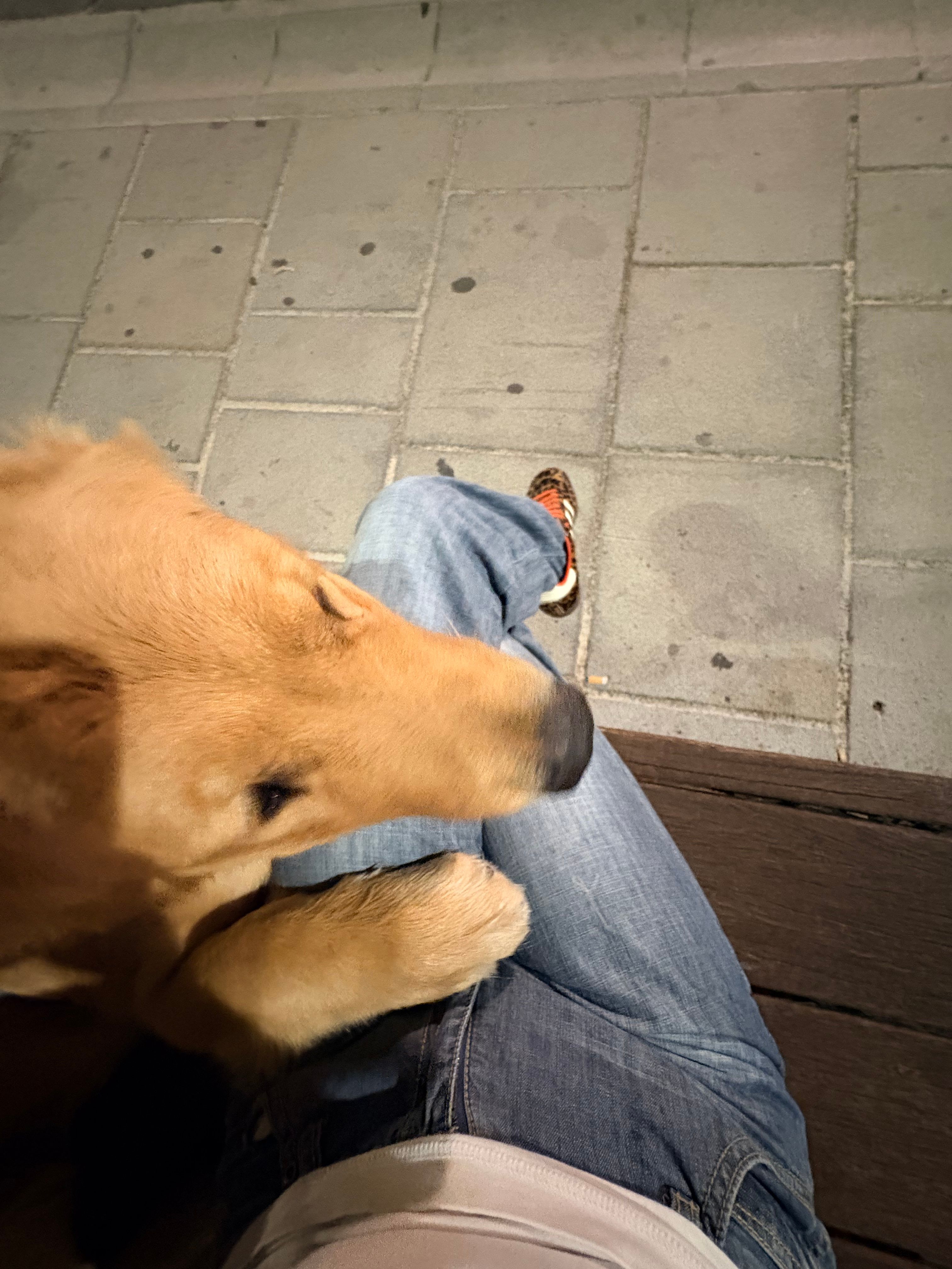 image-6