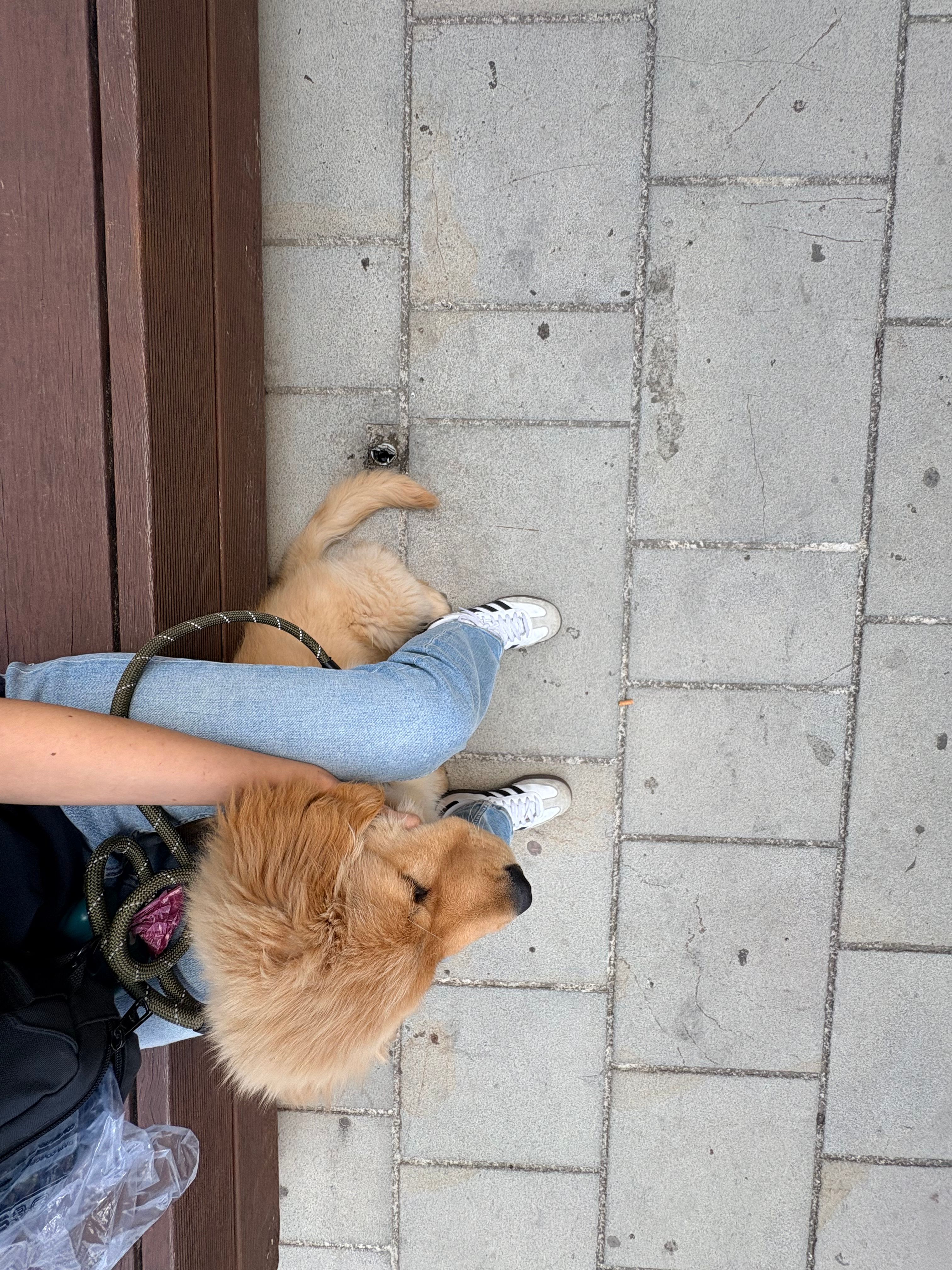 image-8