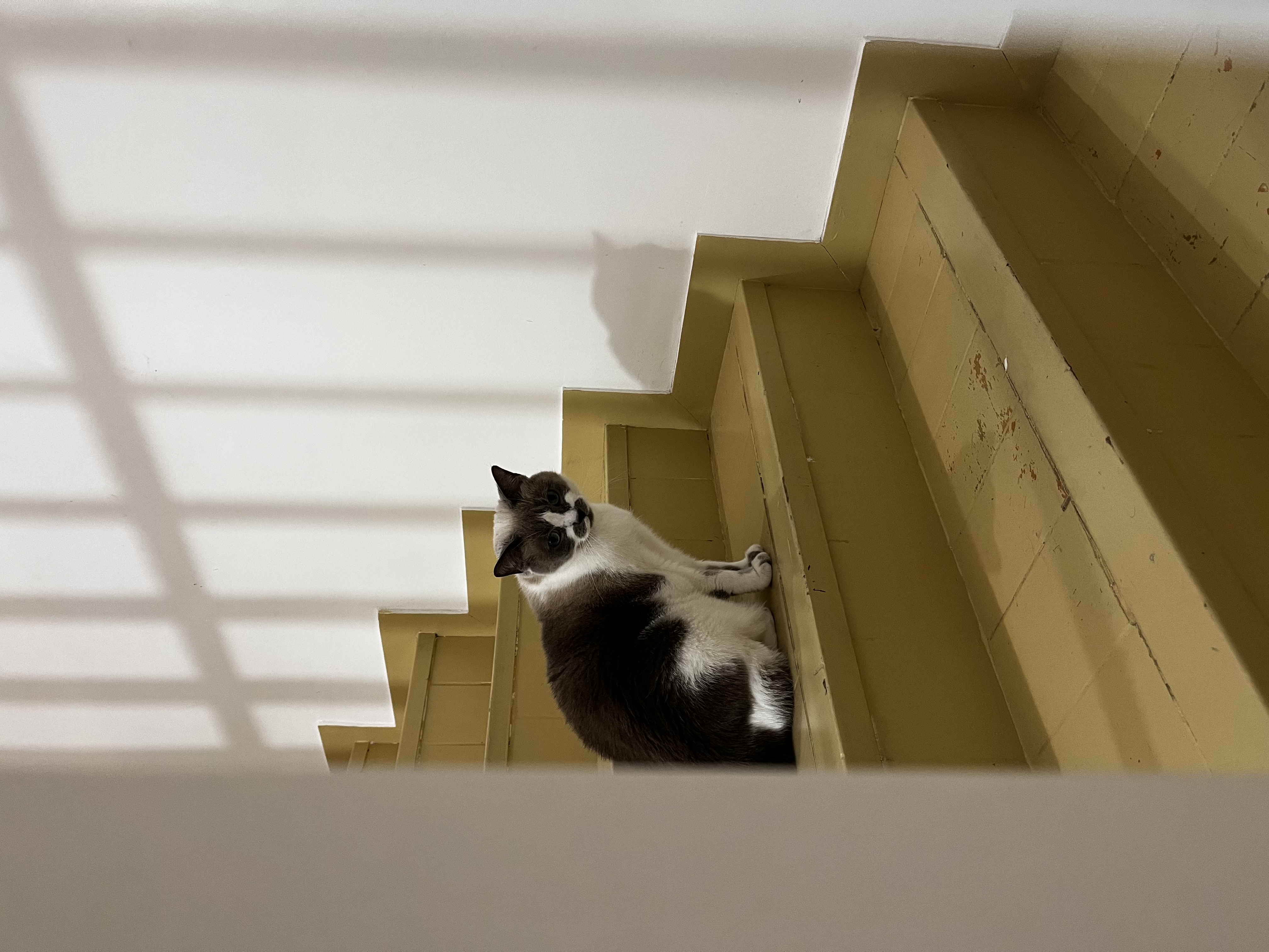image-16