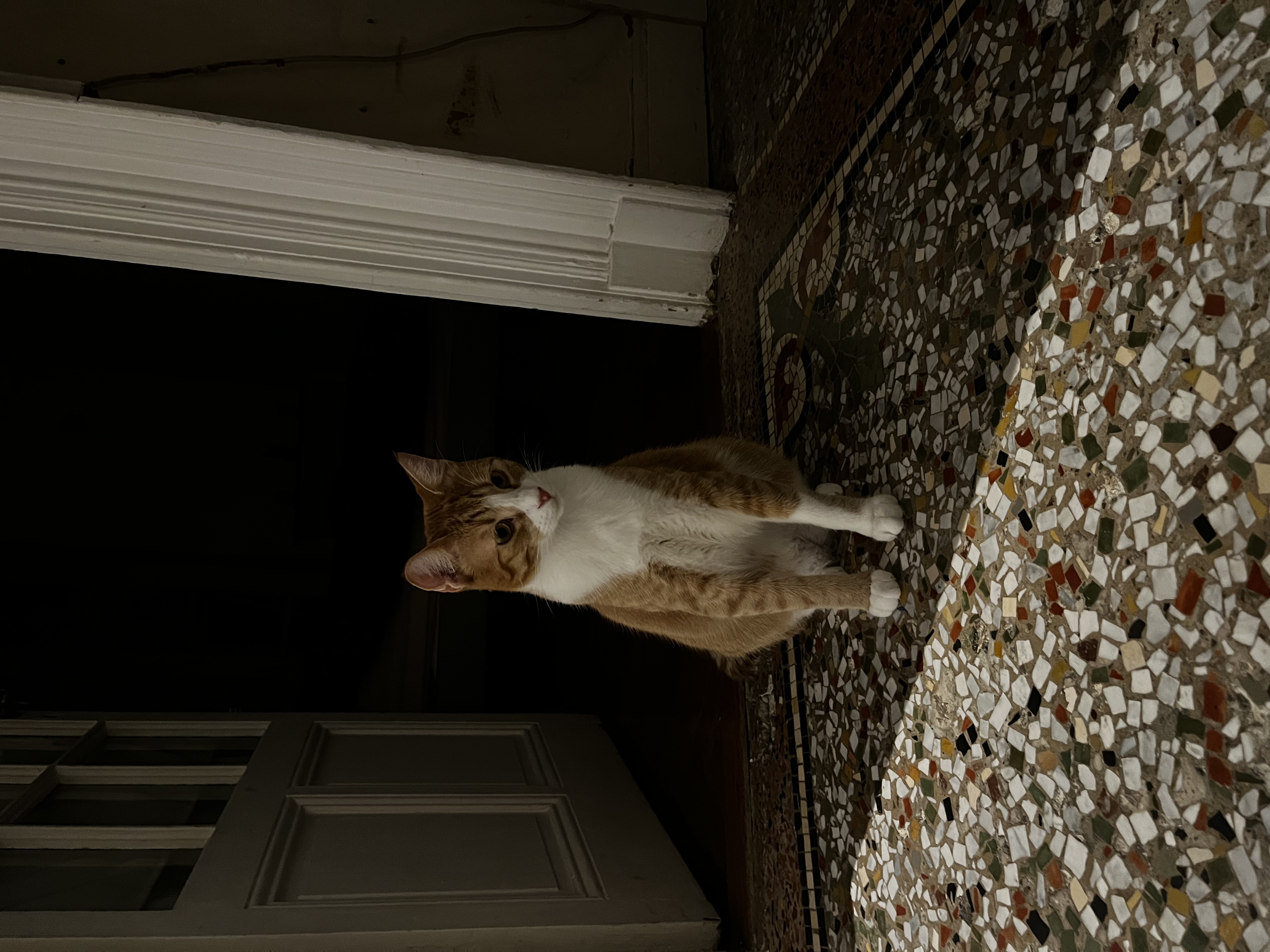 image-14