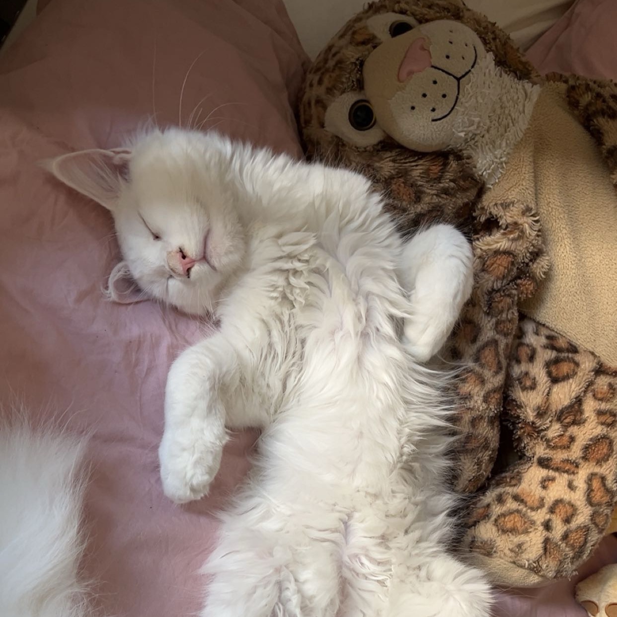 Winnie