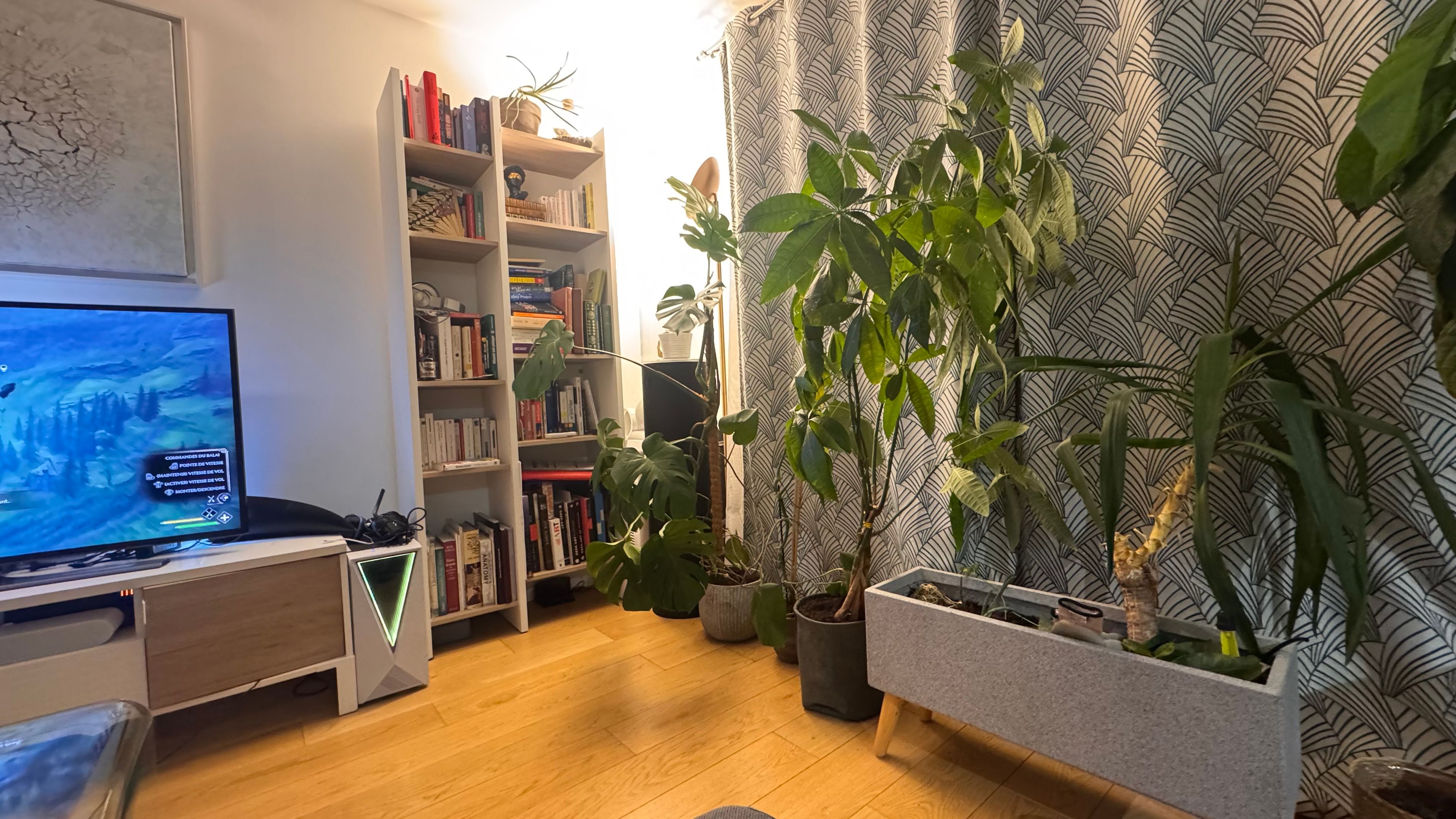 image-18