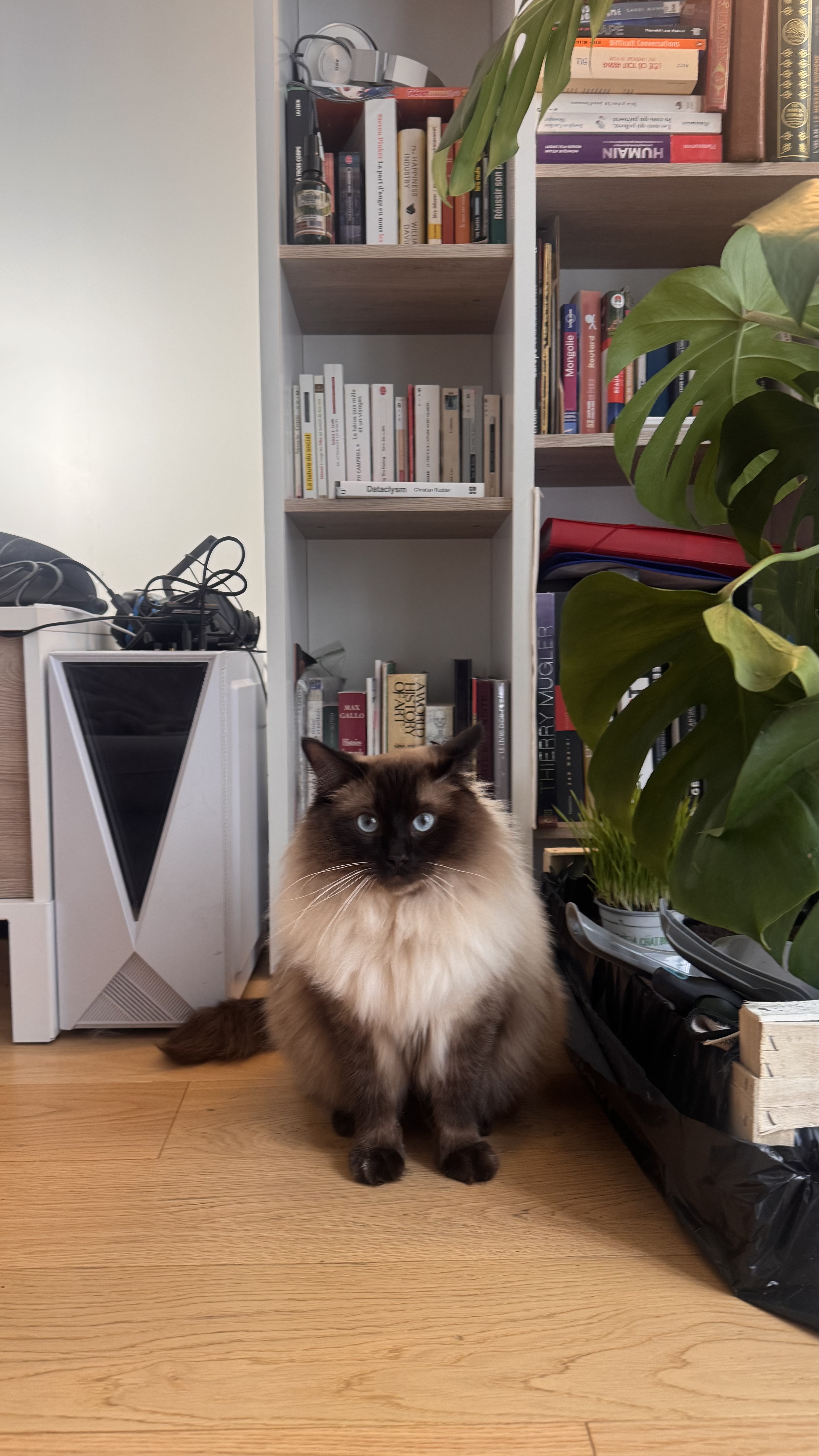 image-16