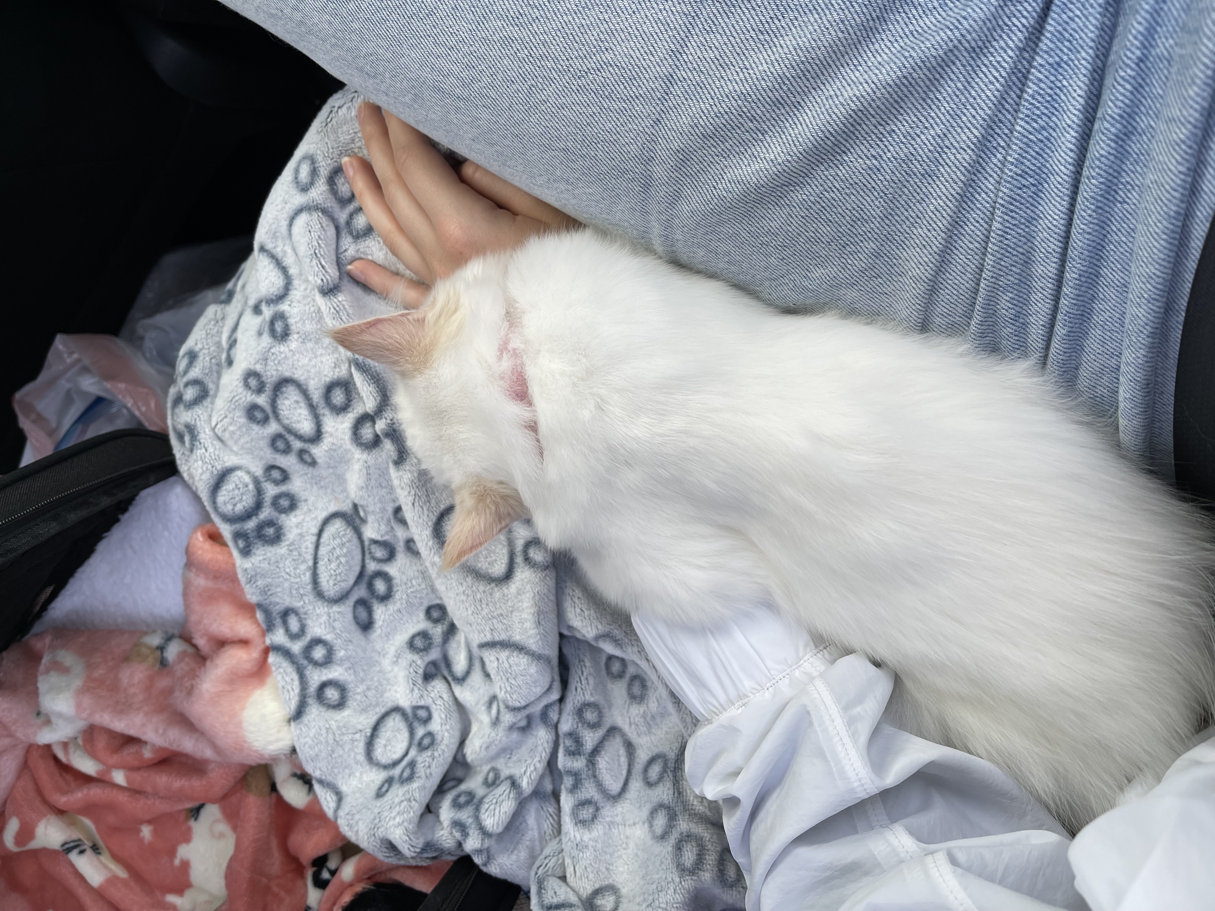 image-6
