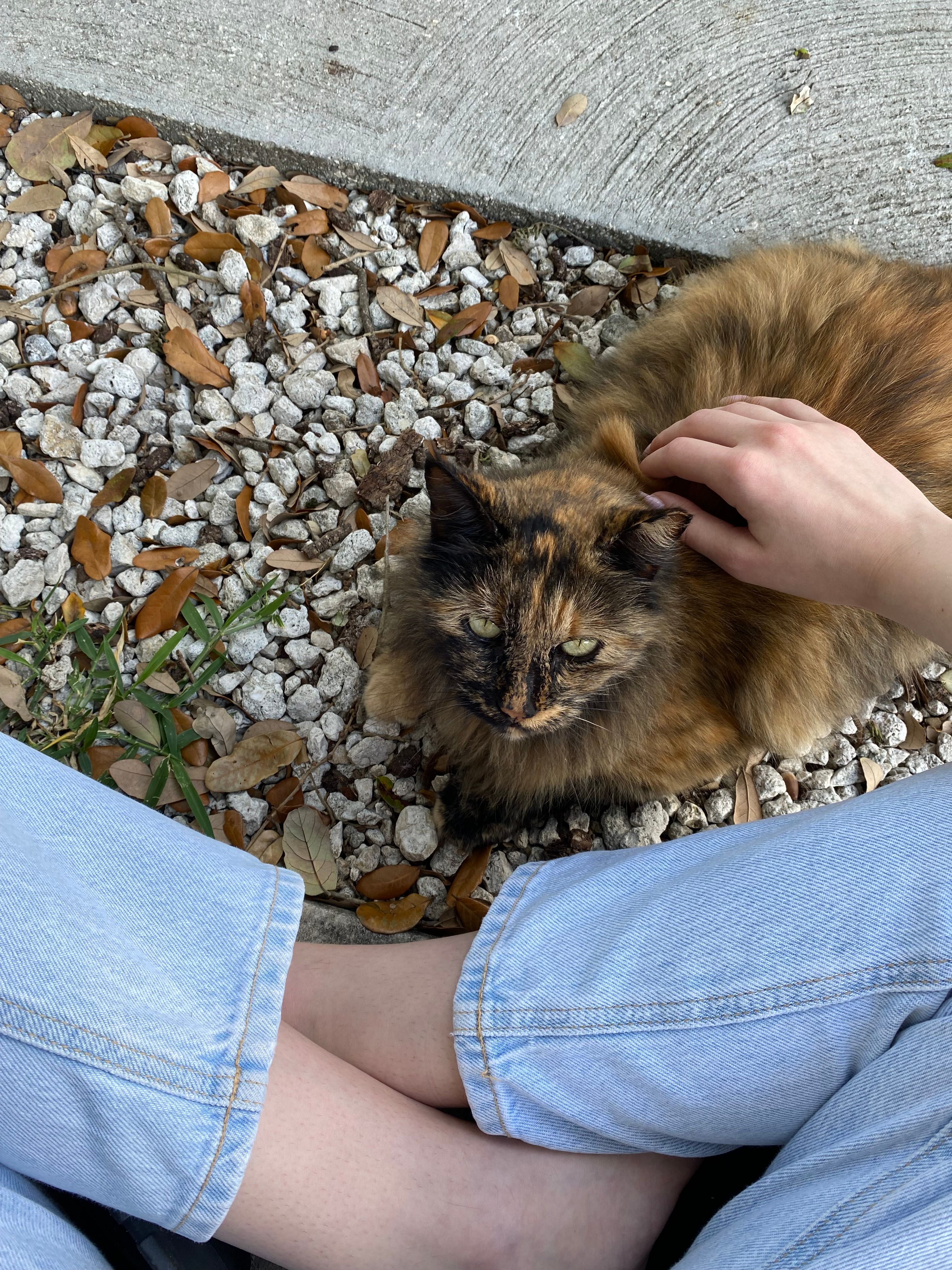 image-5
