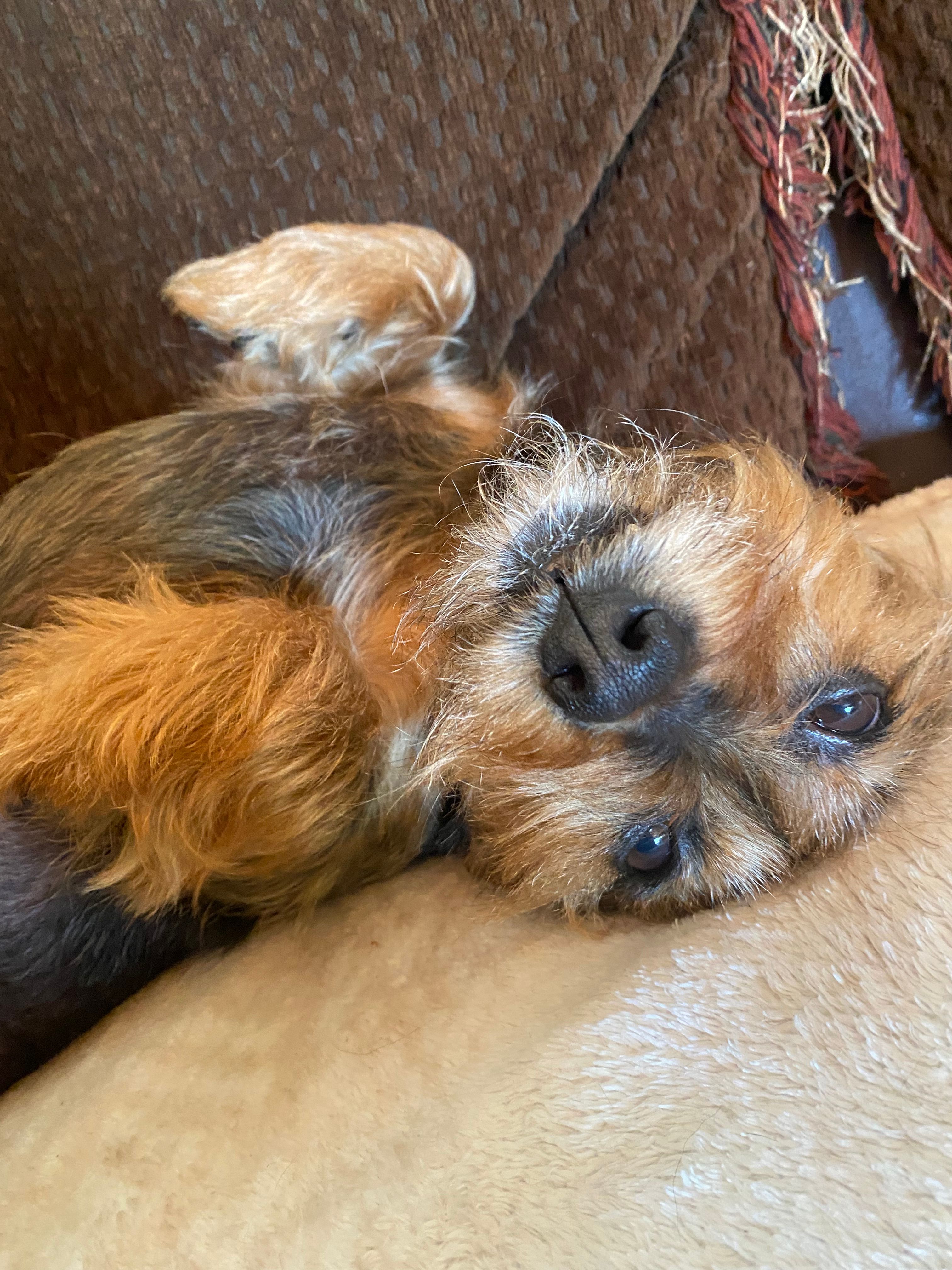 image-3