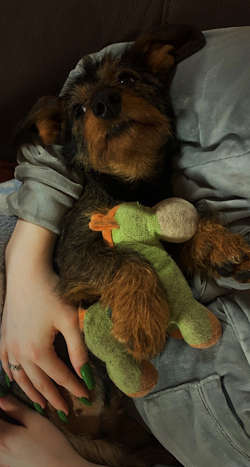 image-2