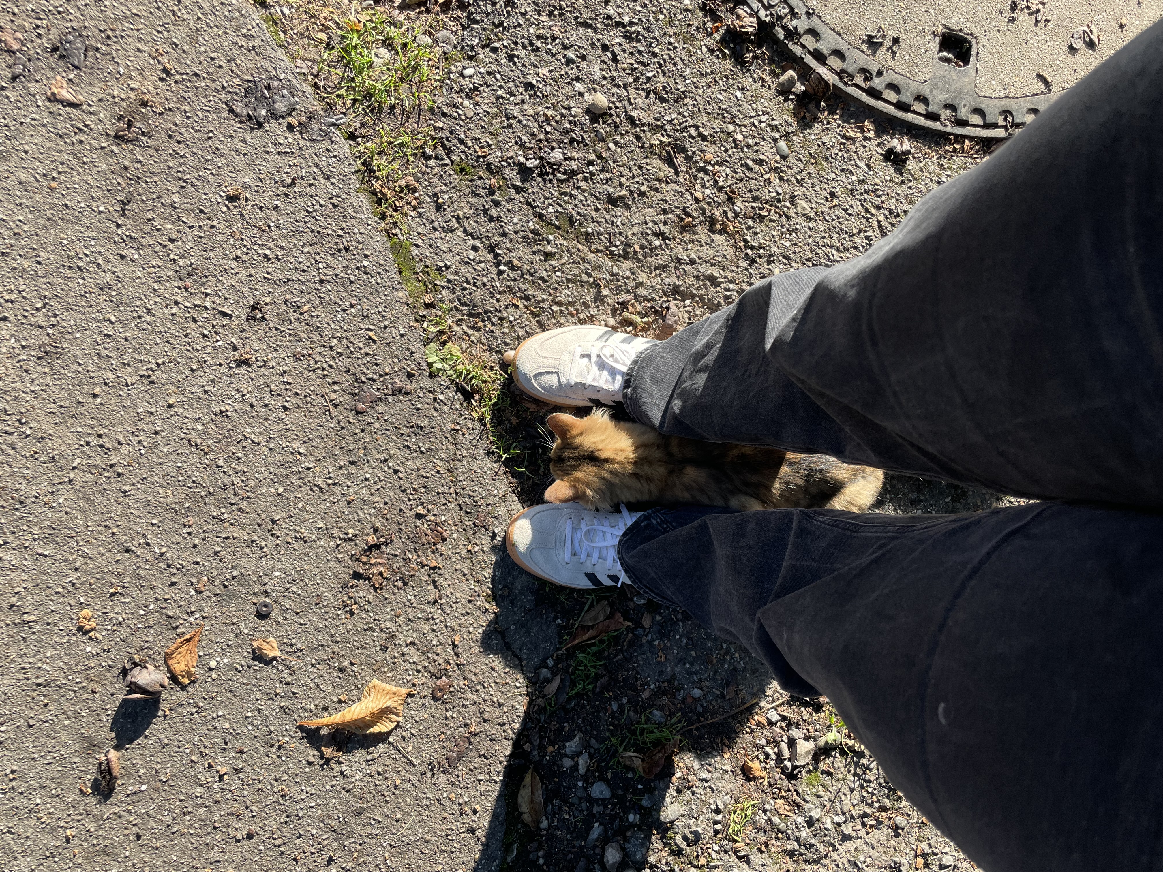 image-8