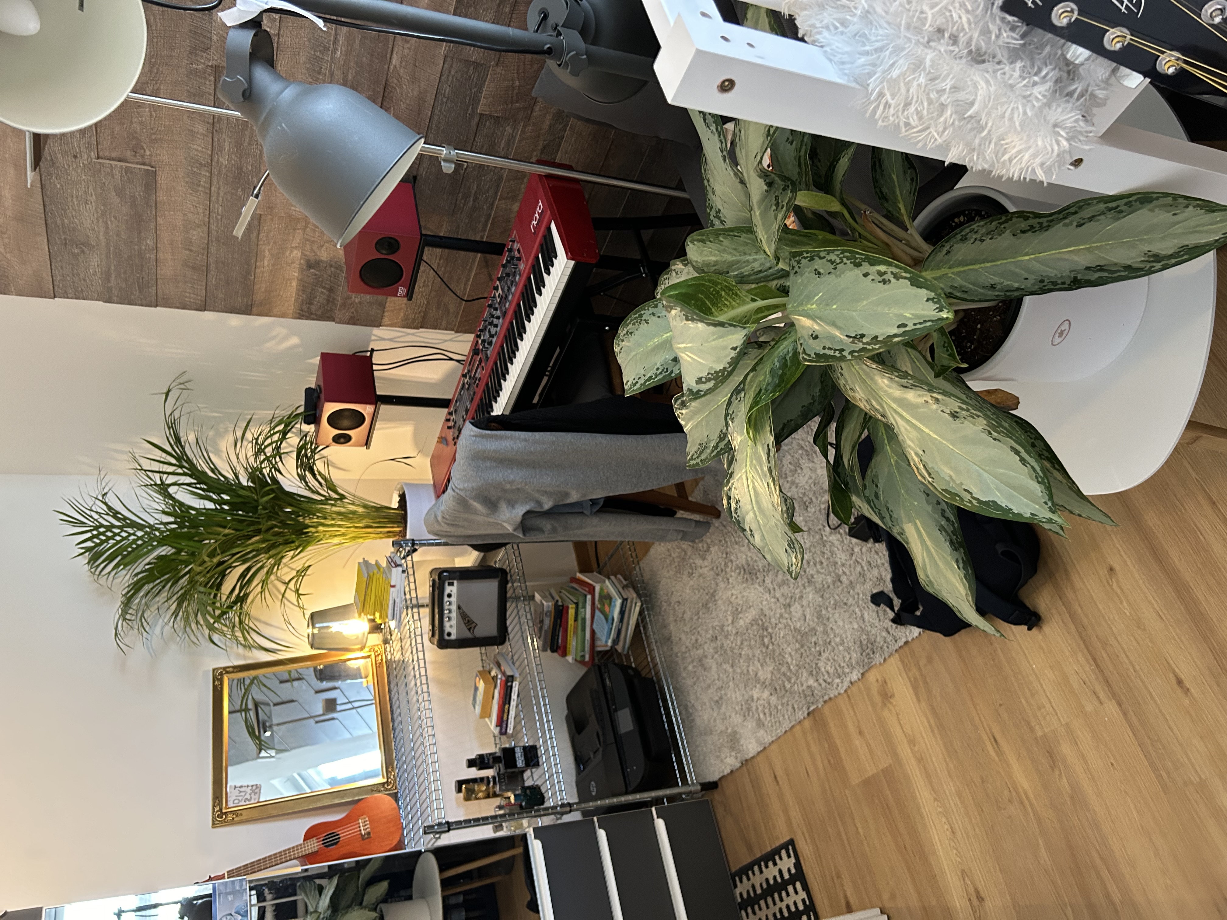 image-14