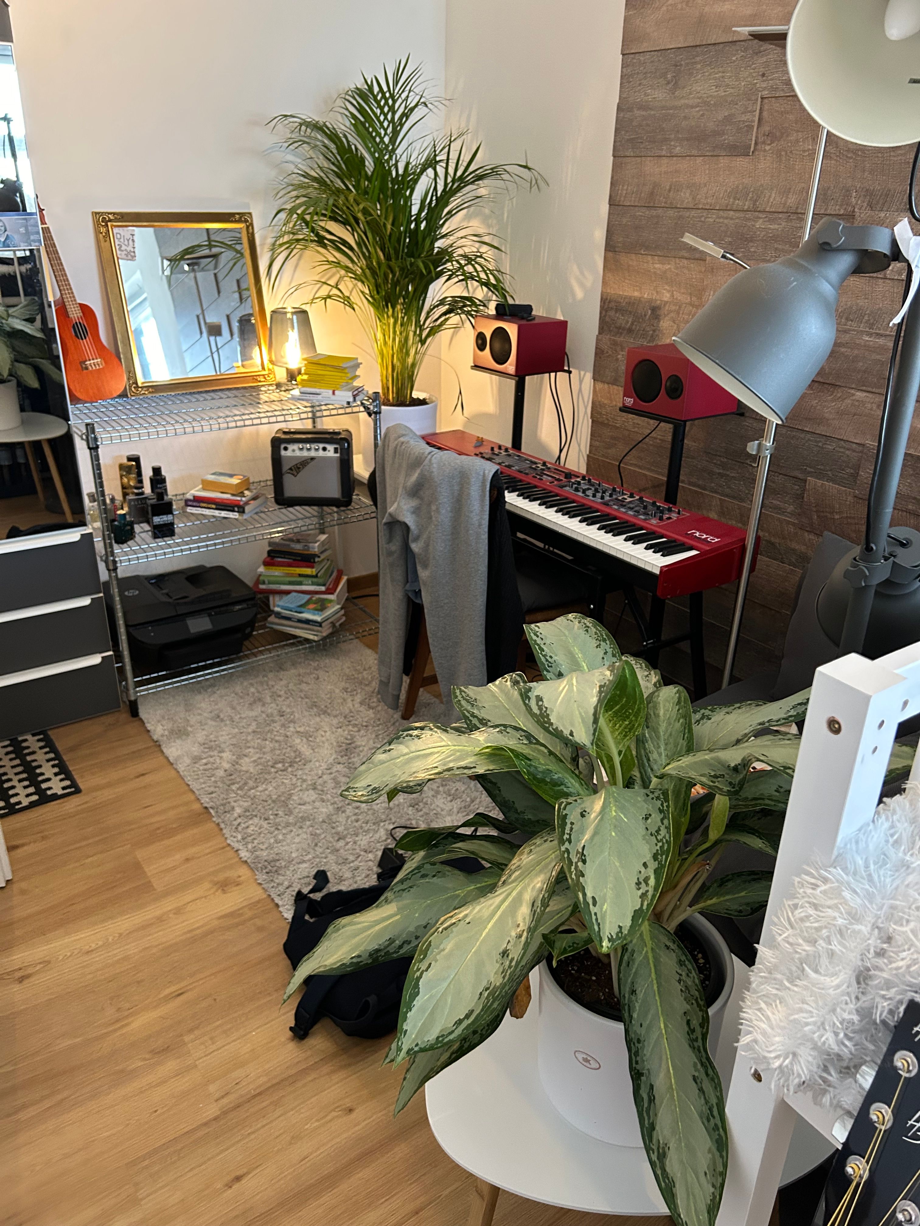 image-14