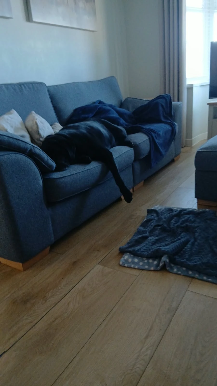 image-12