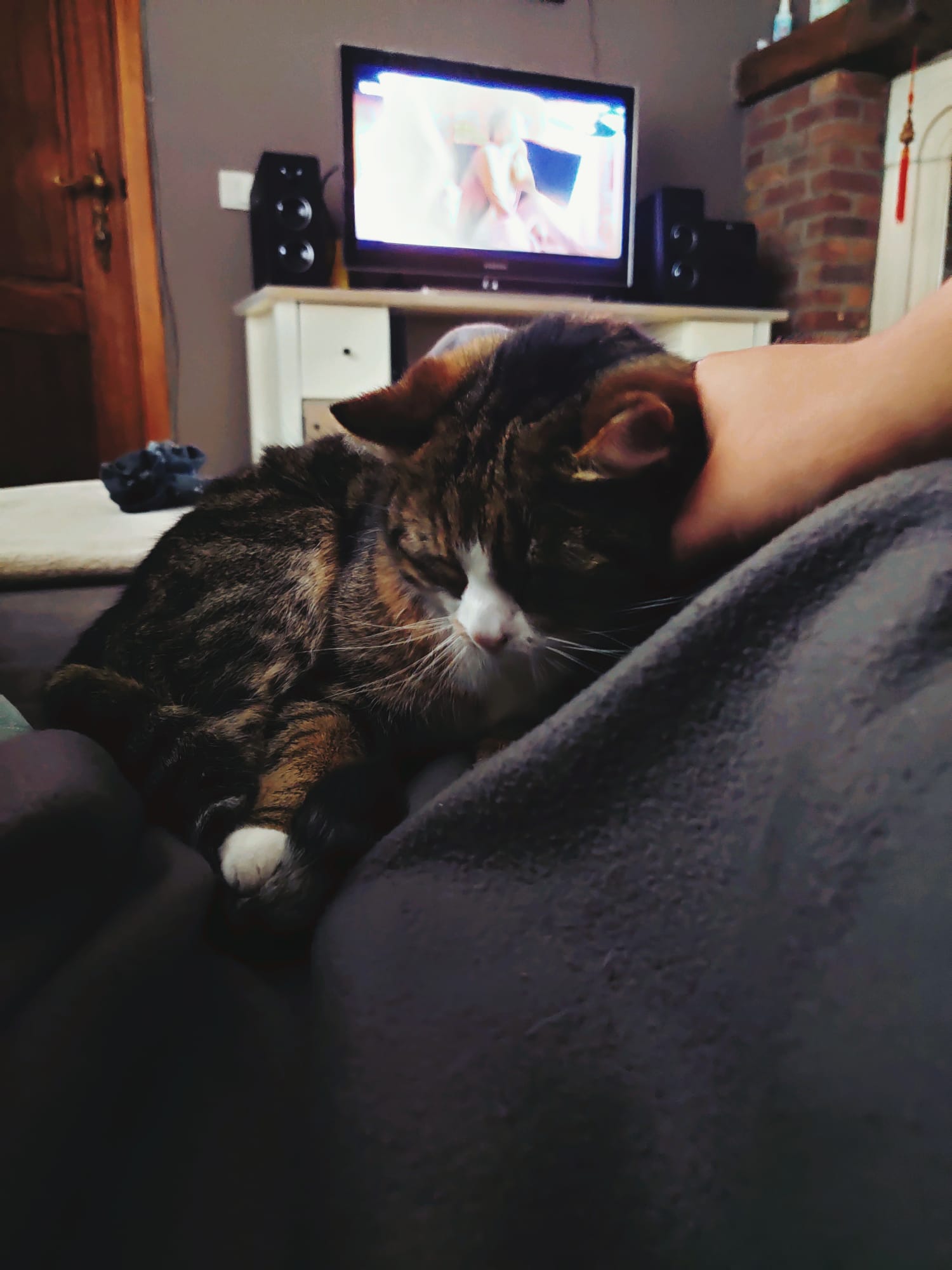 image-8