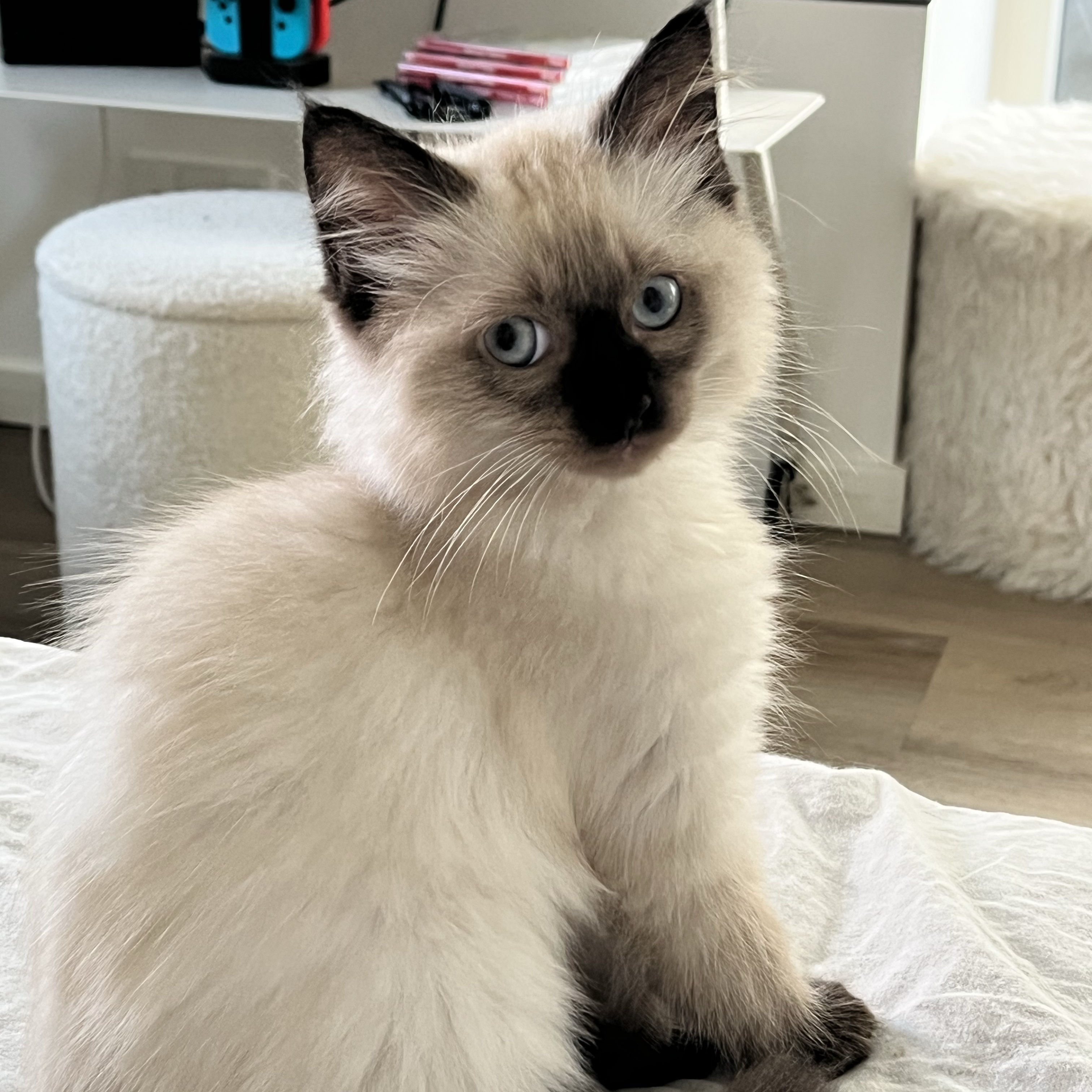 Hugo