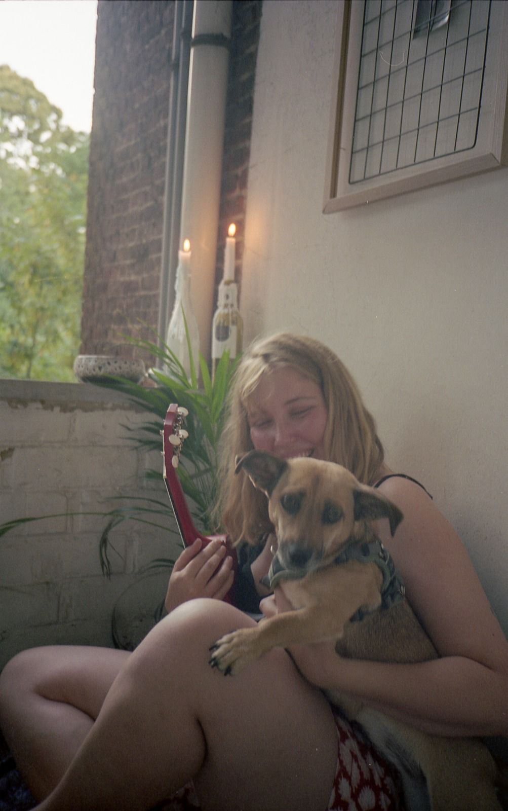 image-8