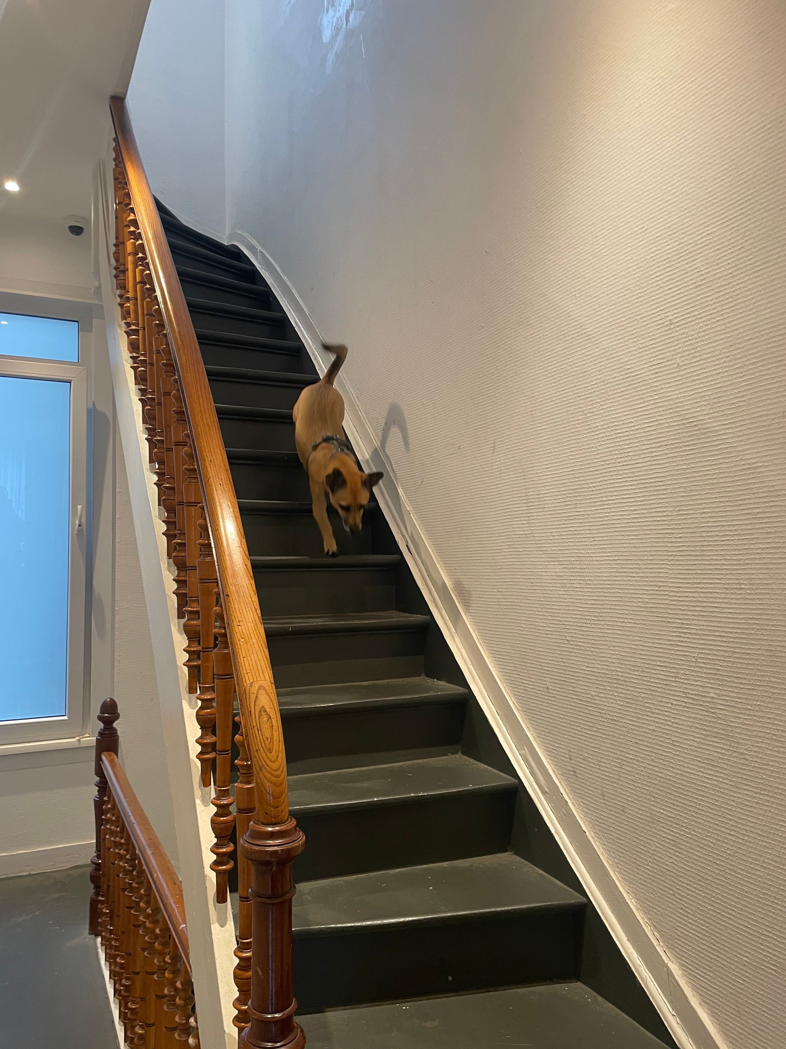 image-14