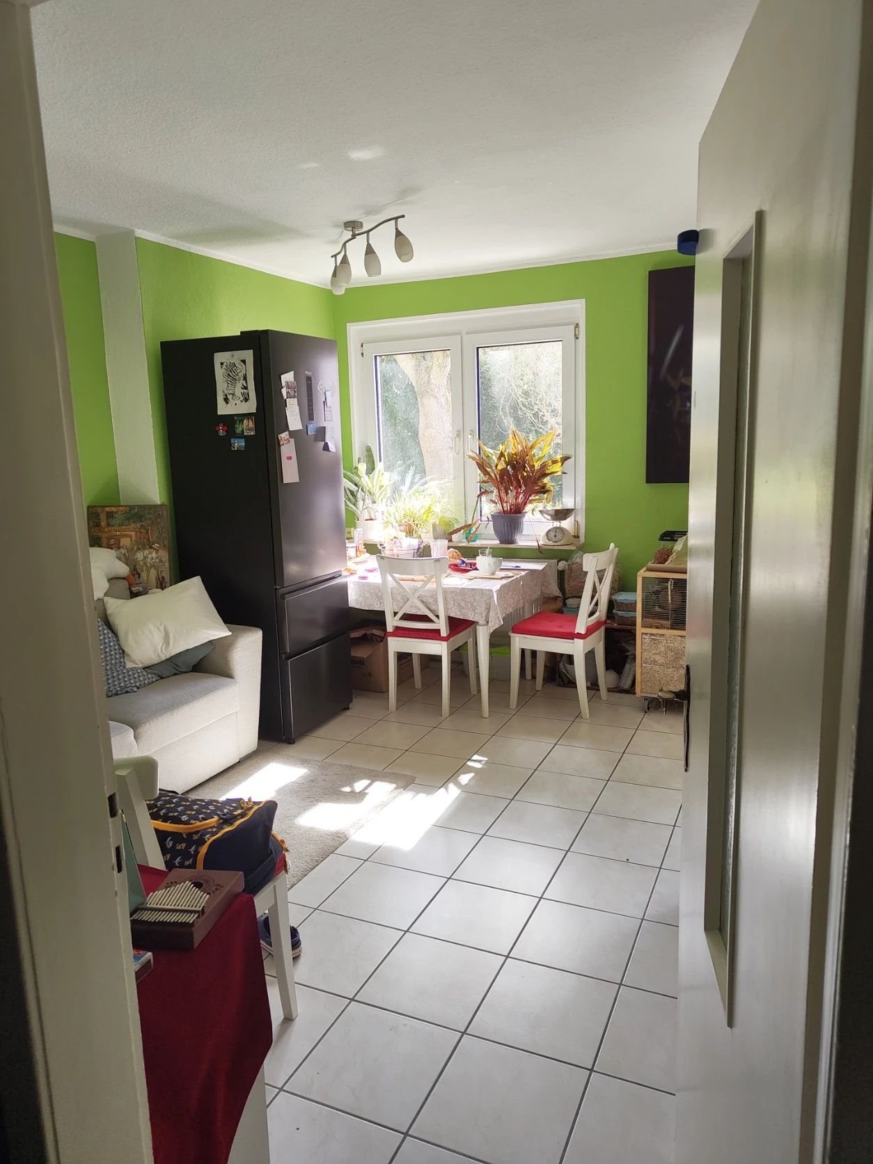 image-19