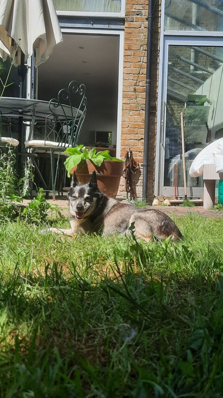 image-13