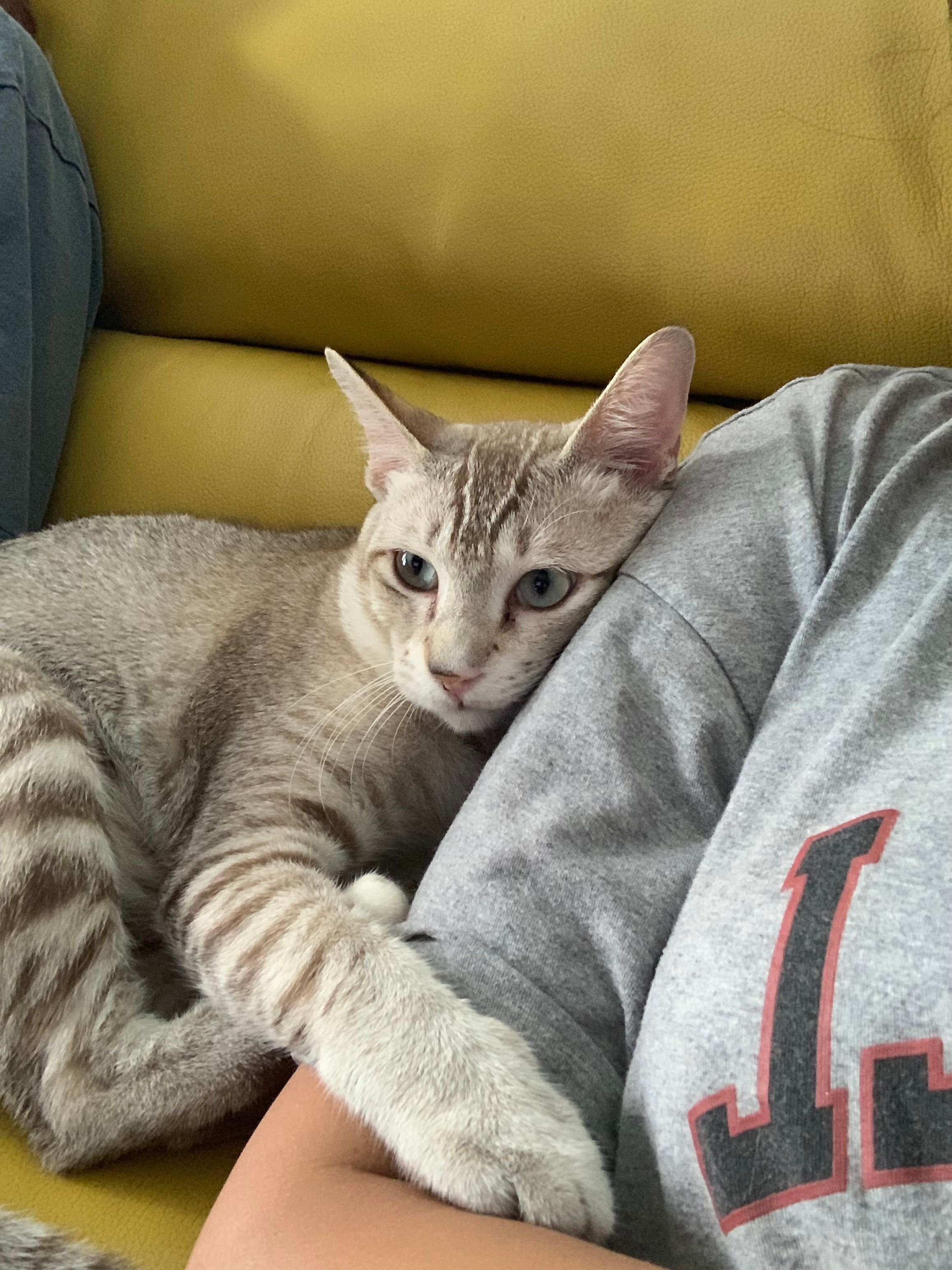 image-6