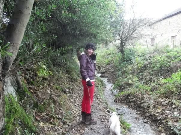 image-3