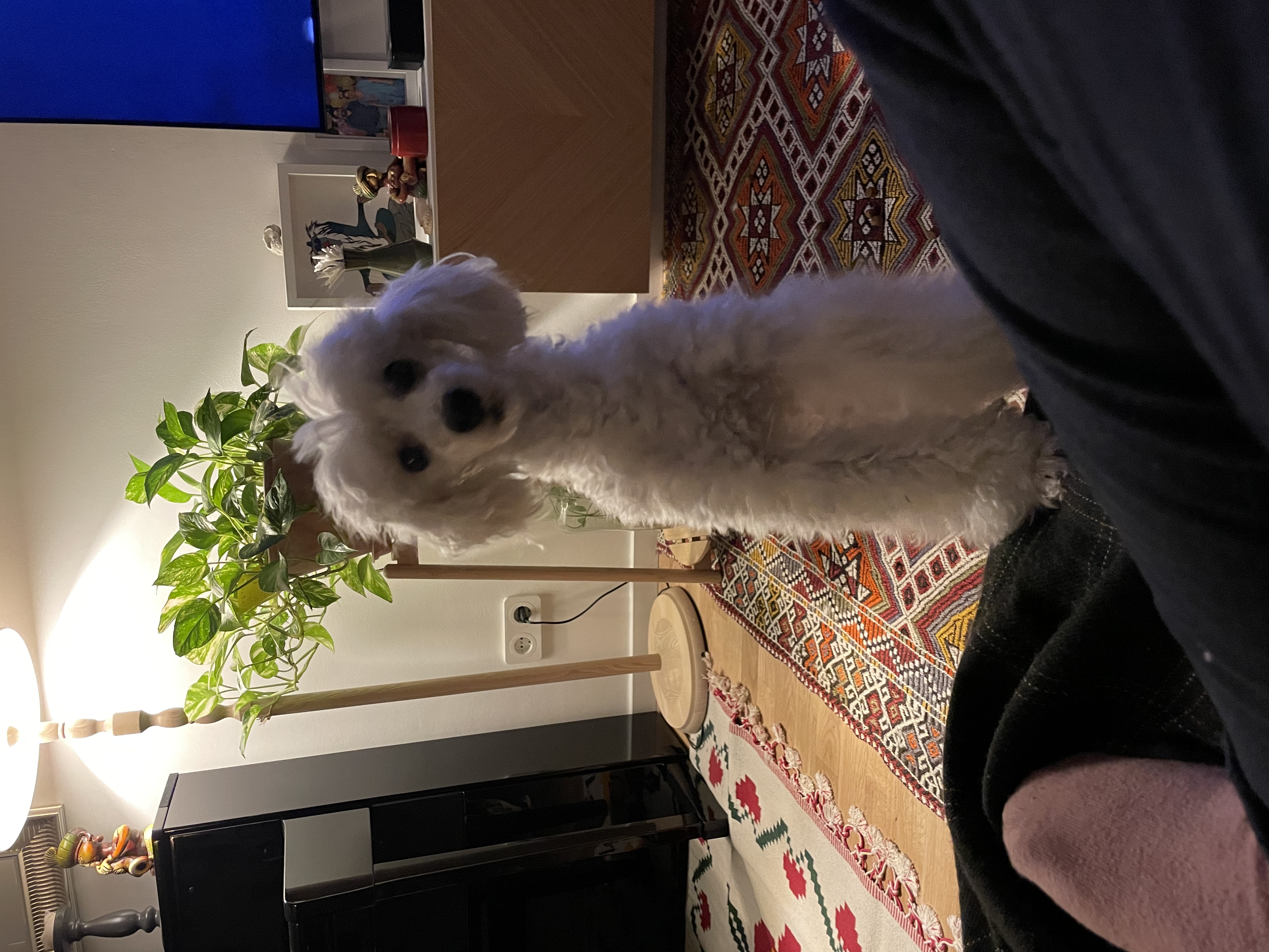 image-36