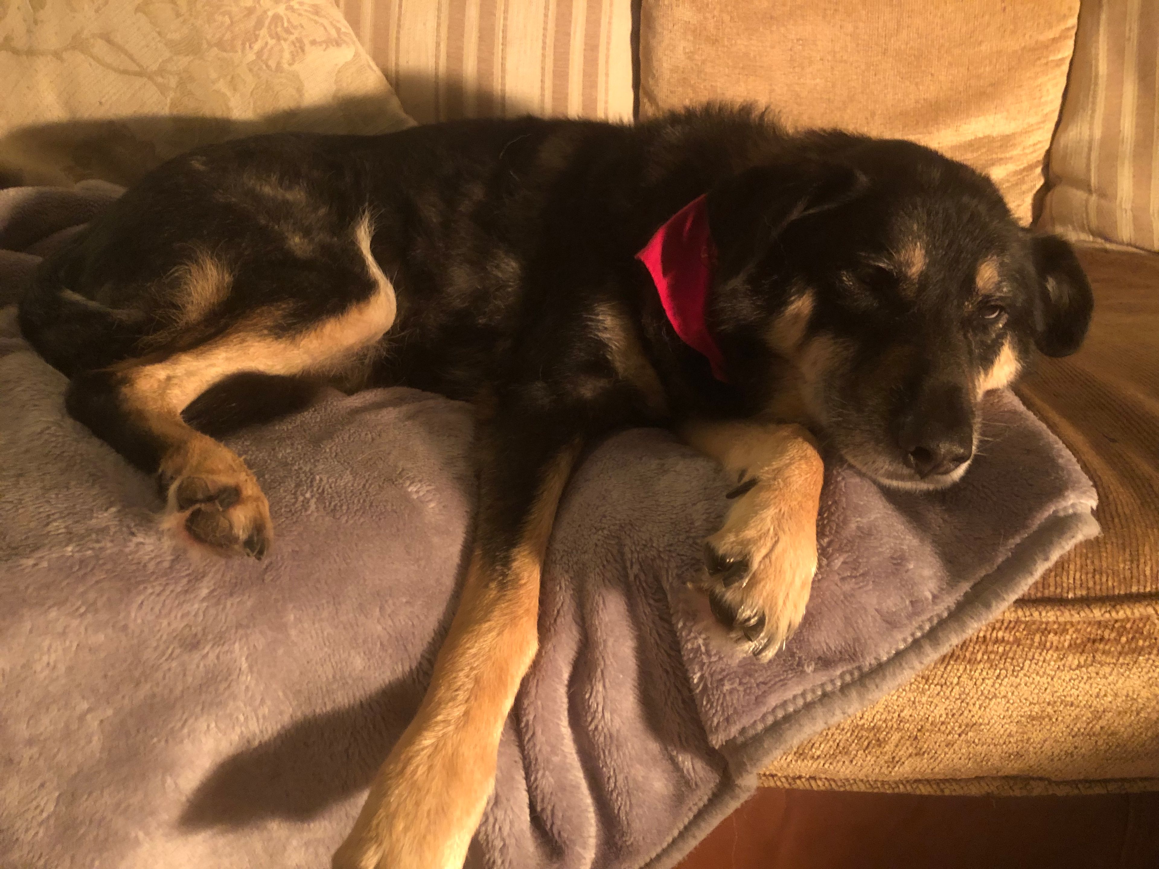 image-3