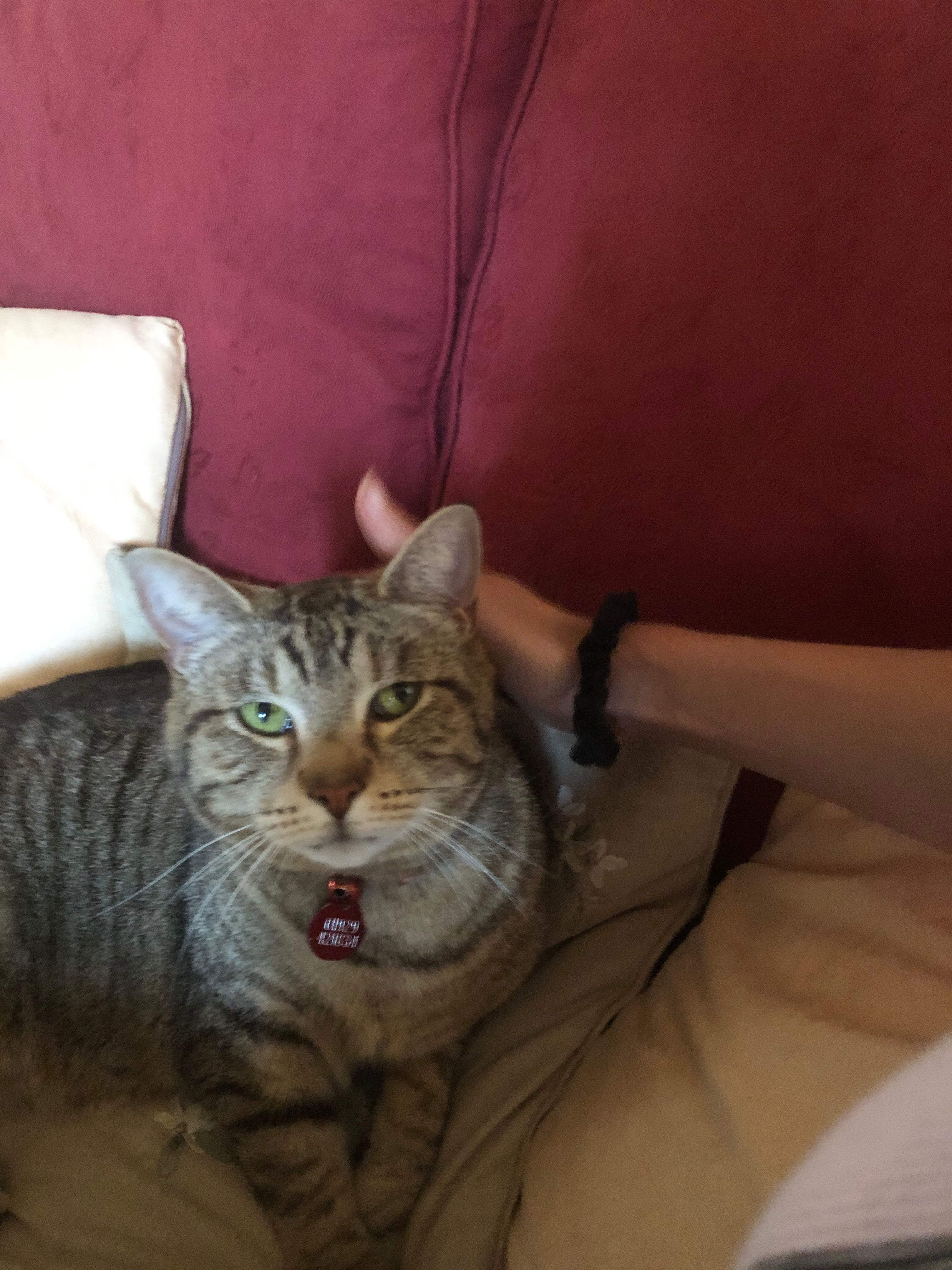 image-18
