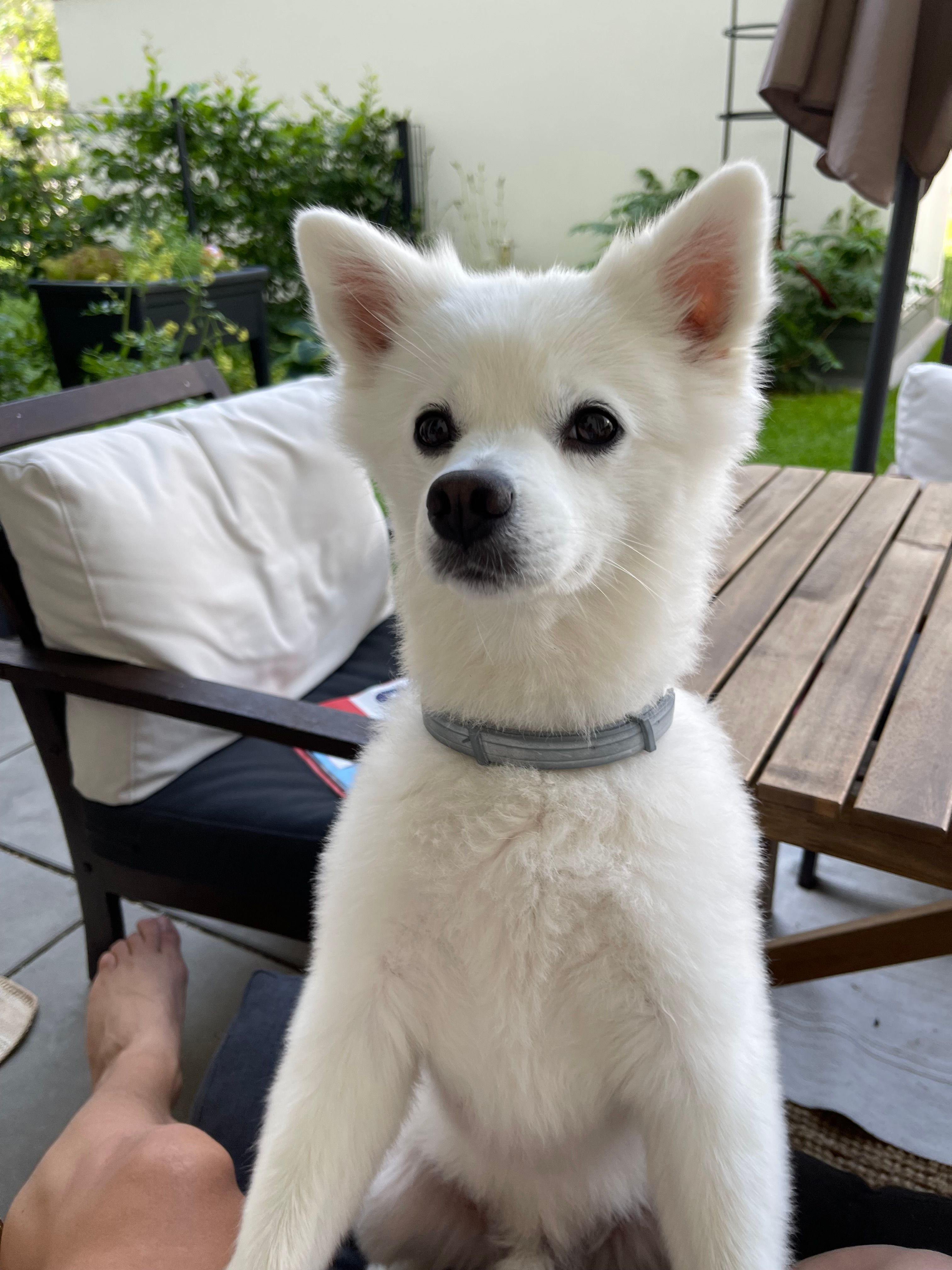 image-8