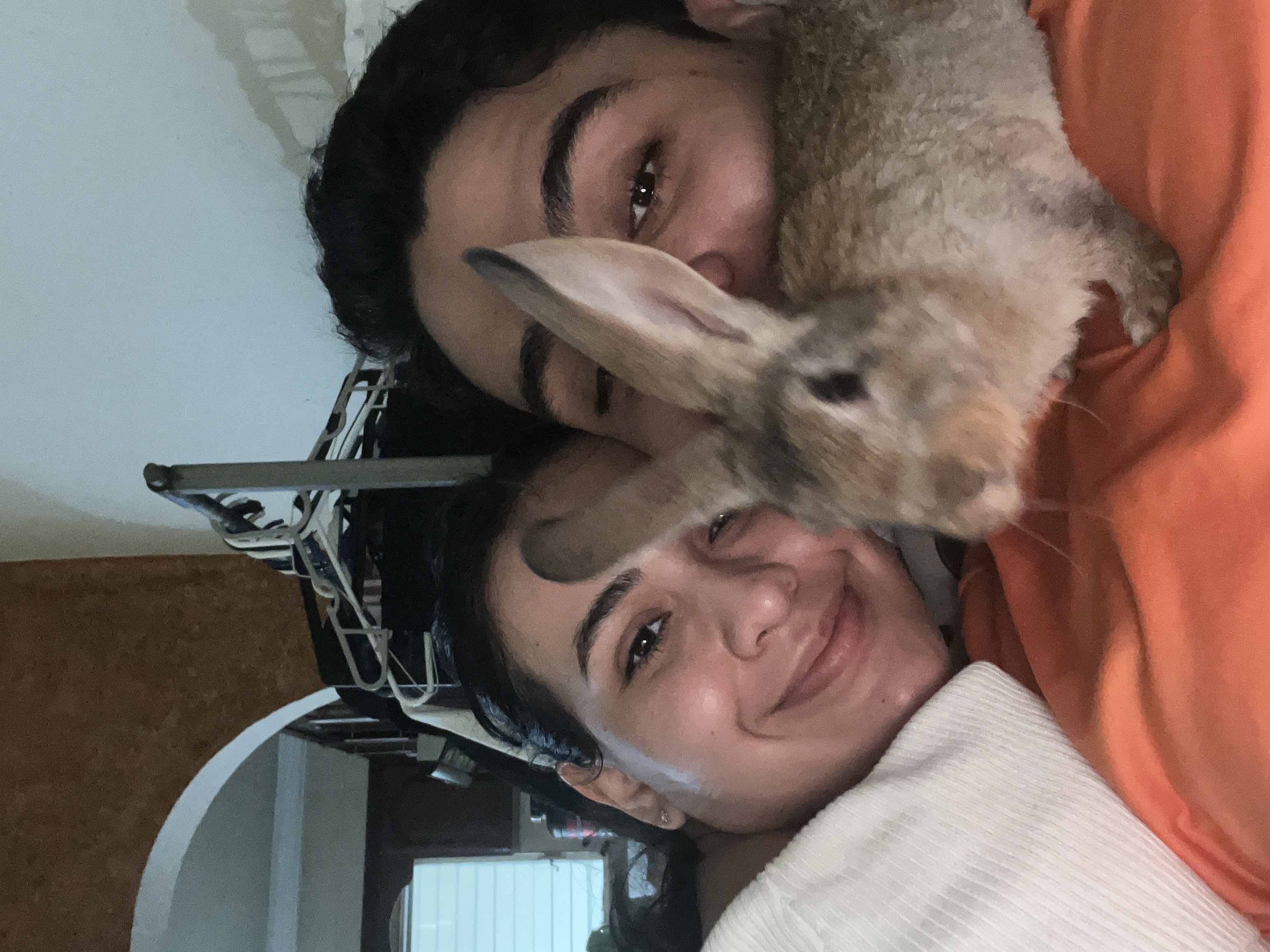 image-18