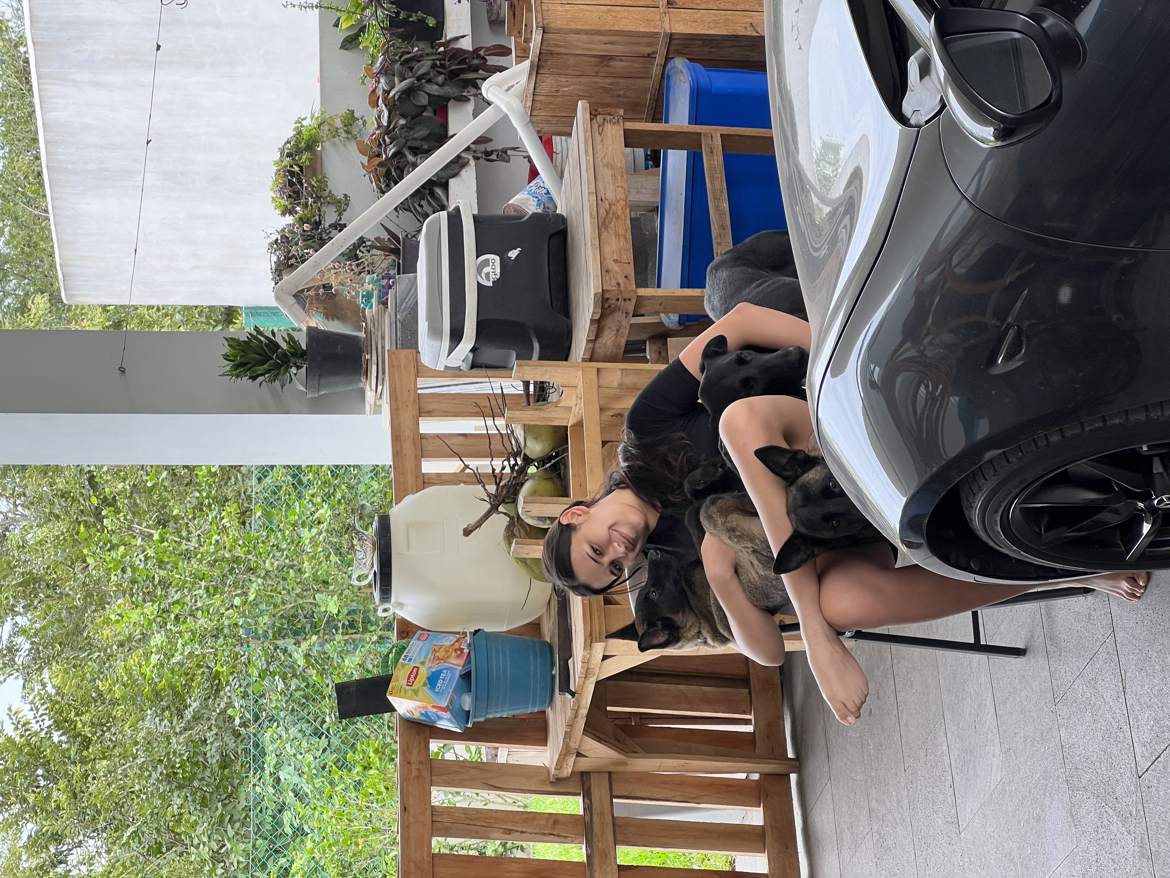 image-20