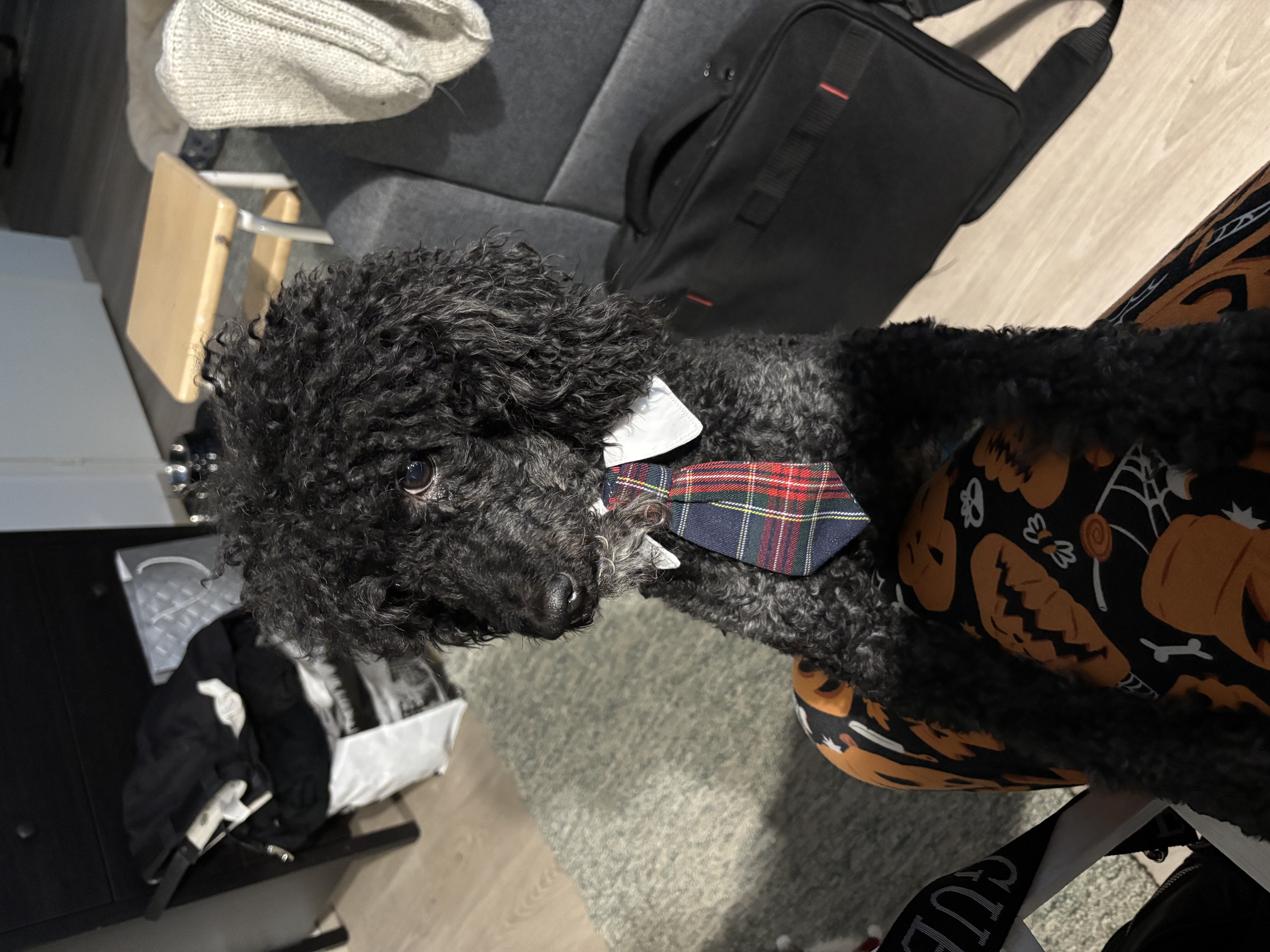 image-13