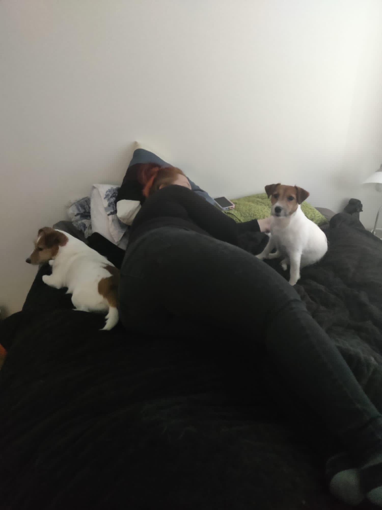 image-10