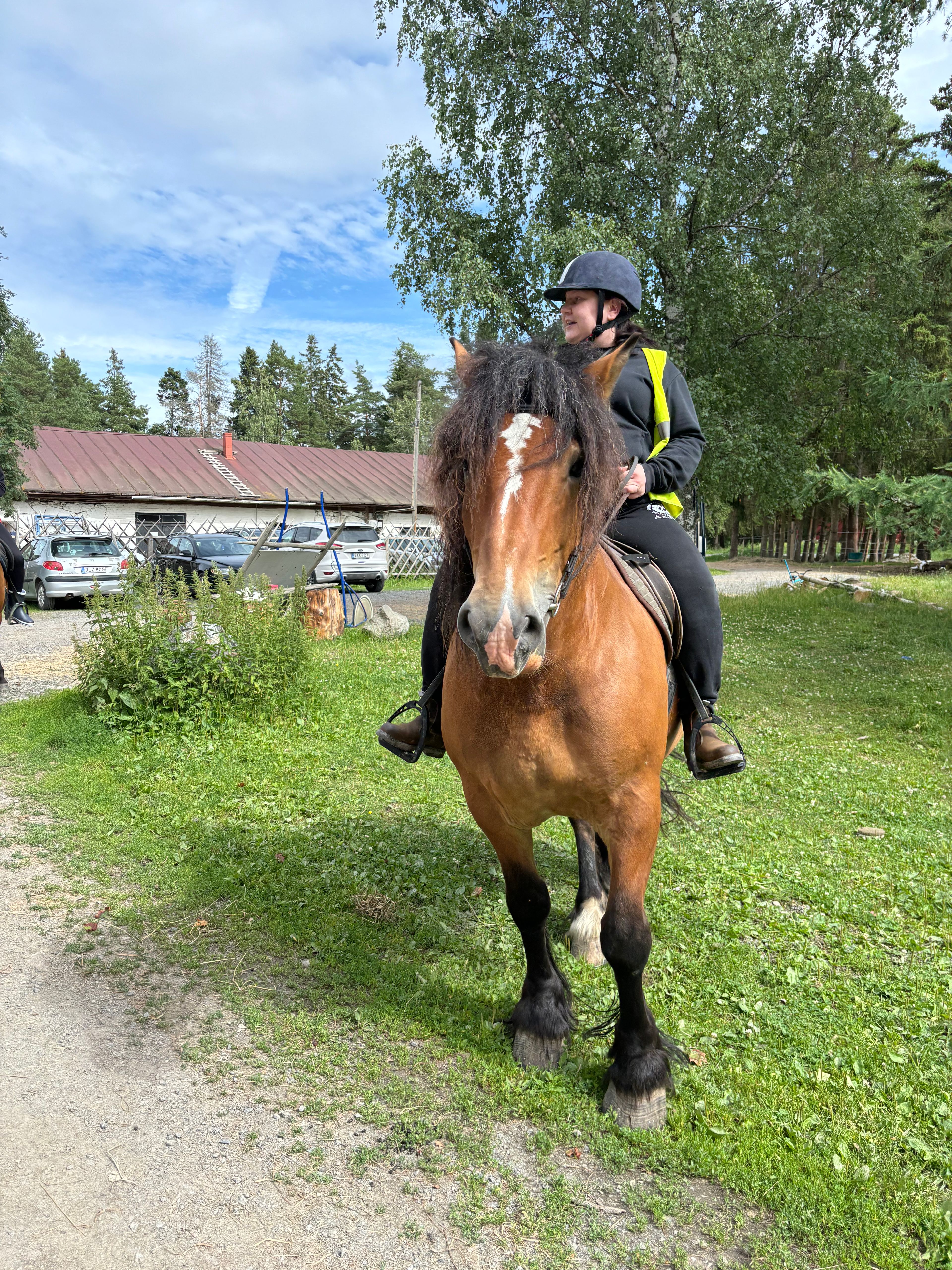 image-6