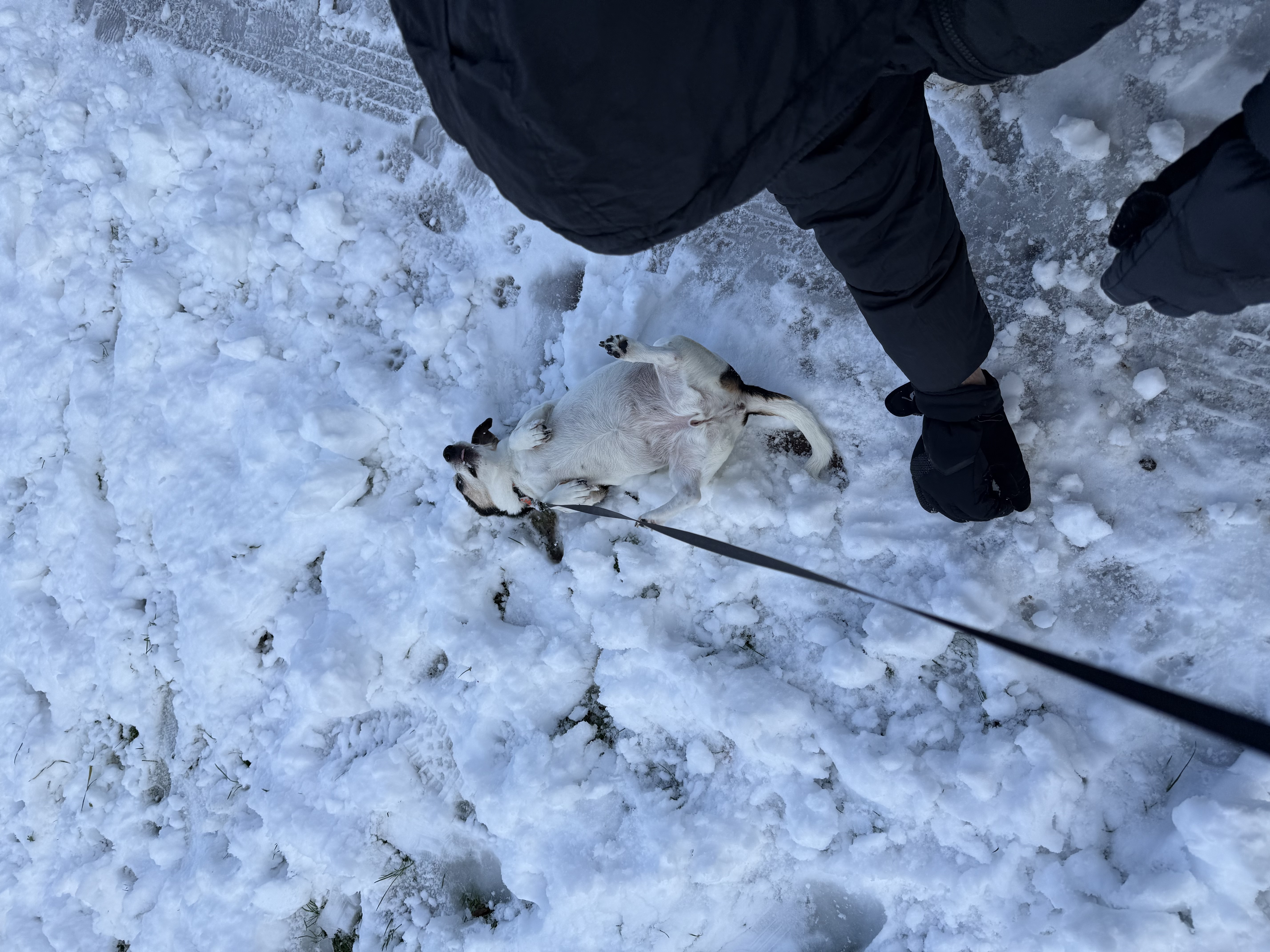 image-9