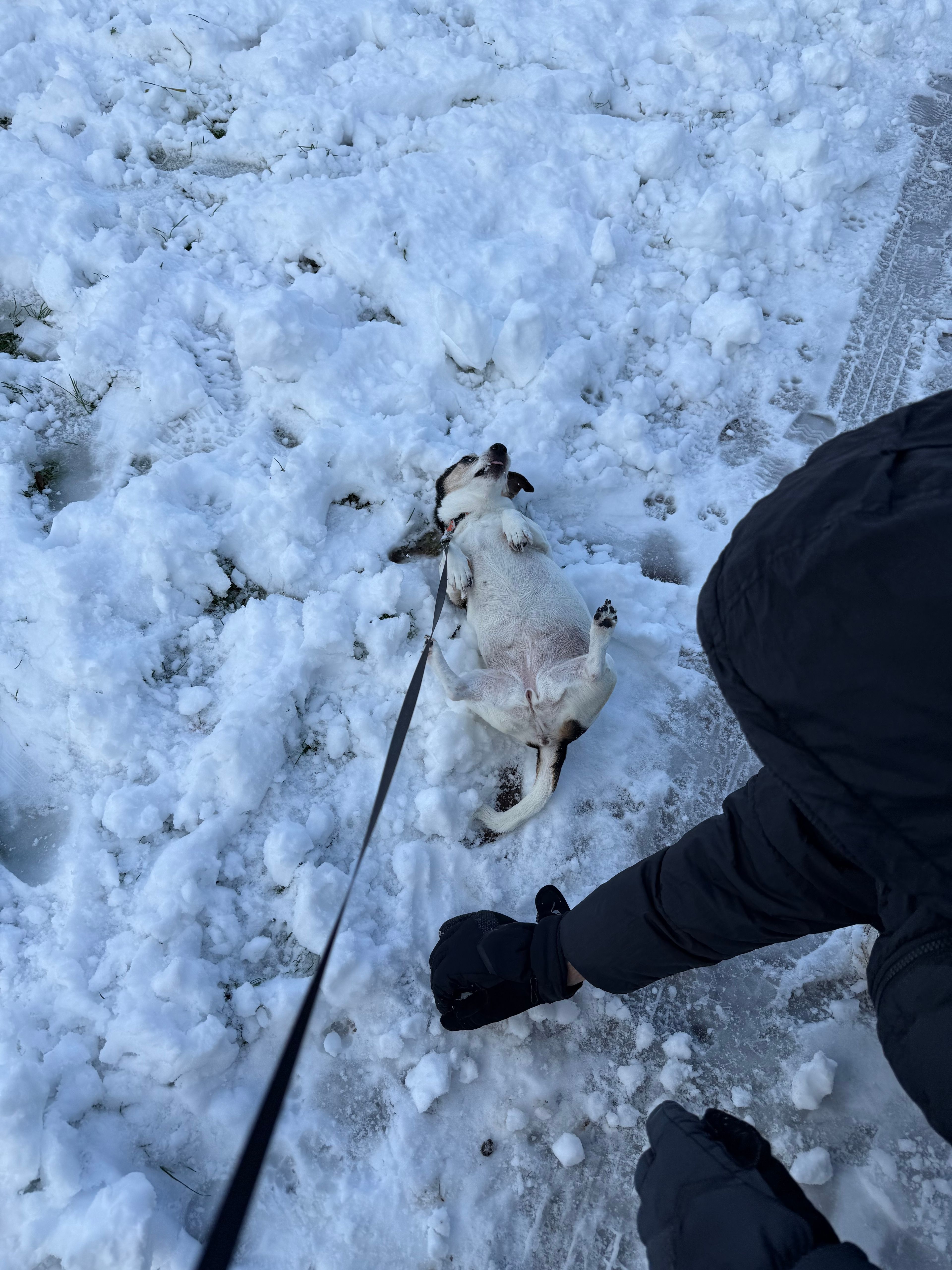 image-9