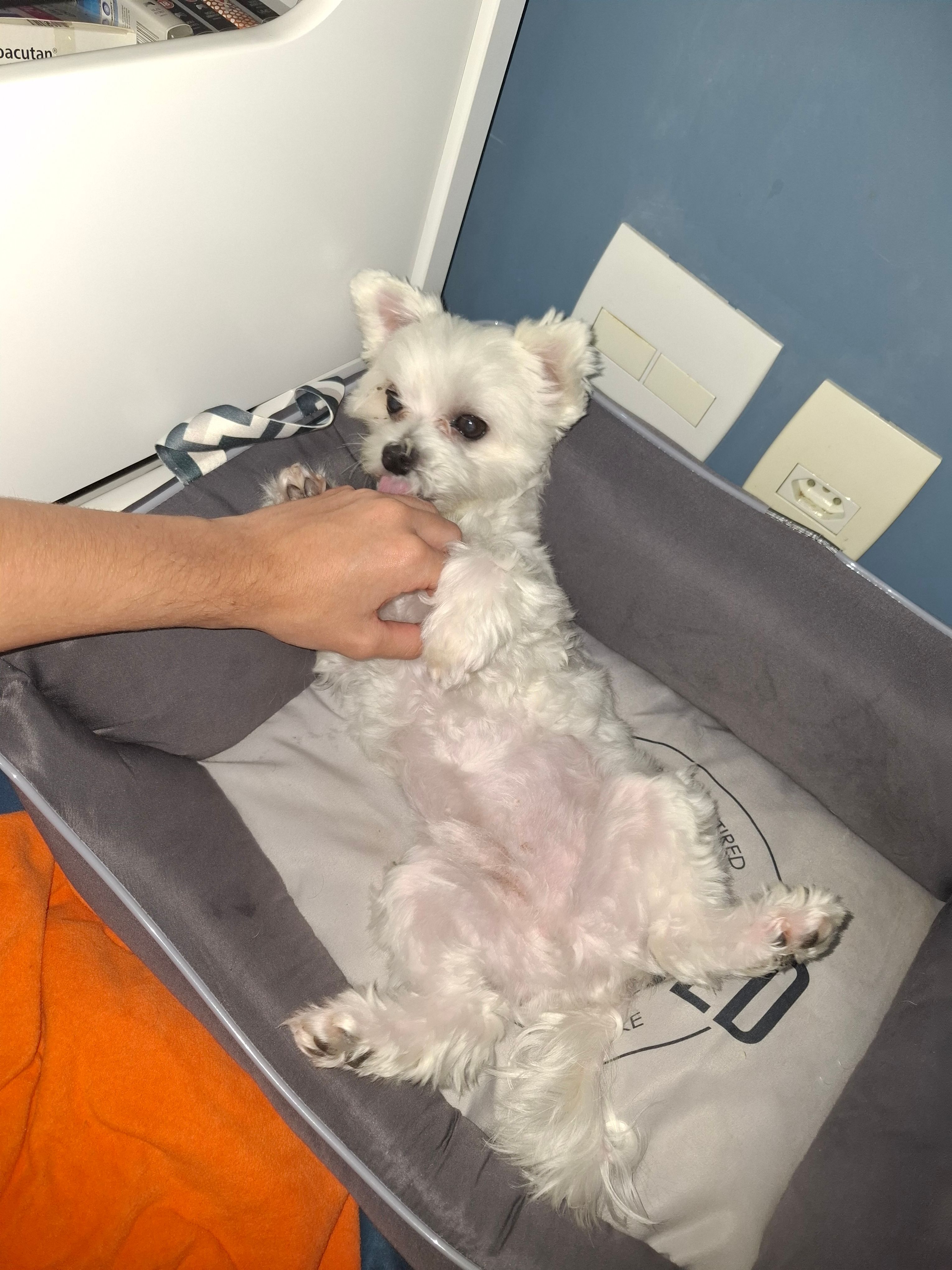 image-7