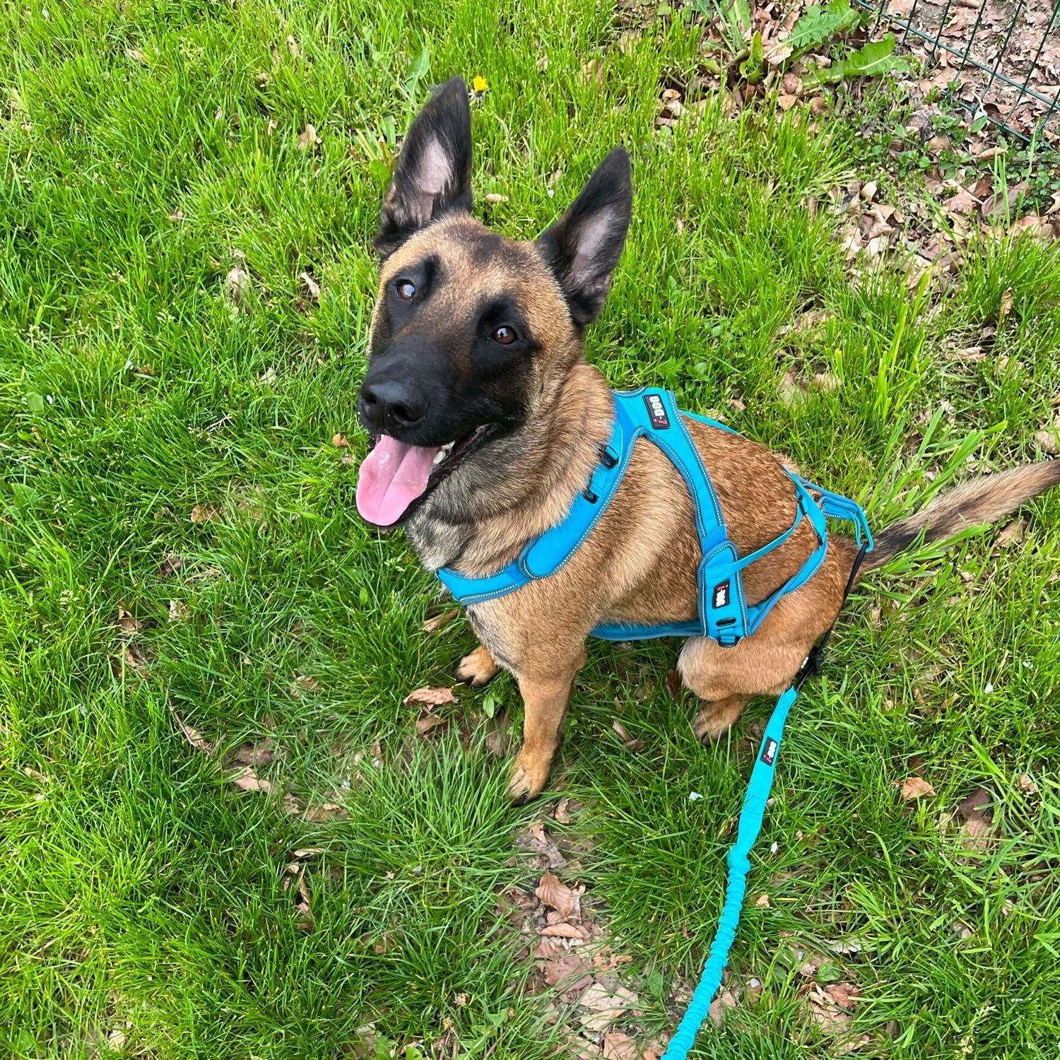 KIBA