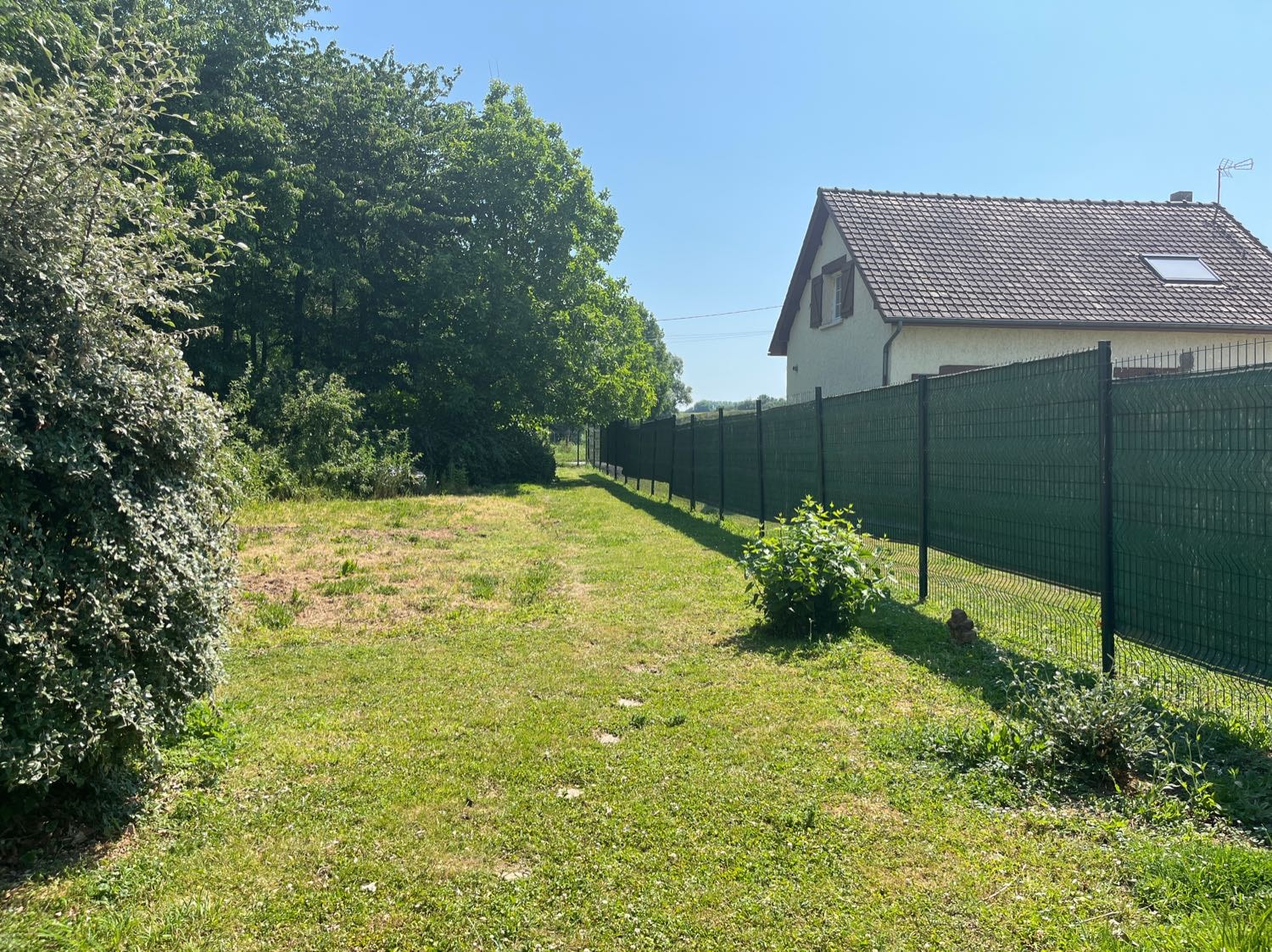 image-11
